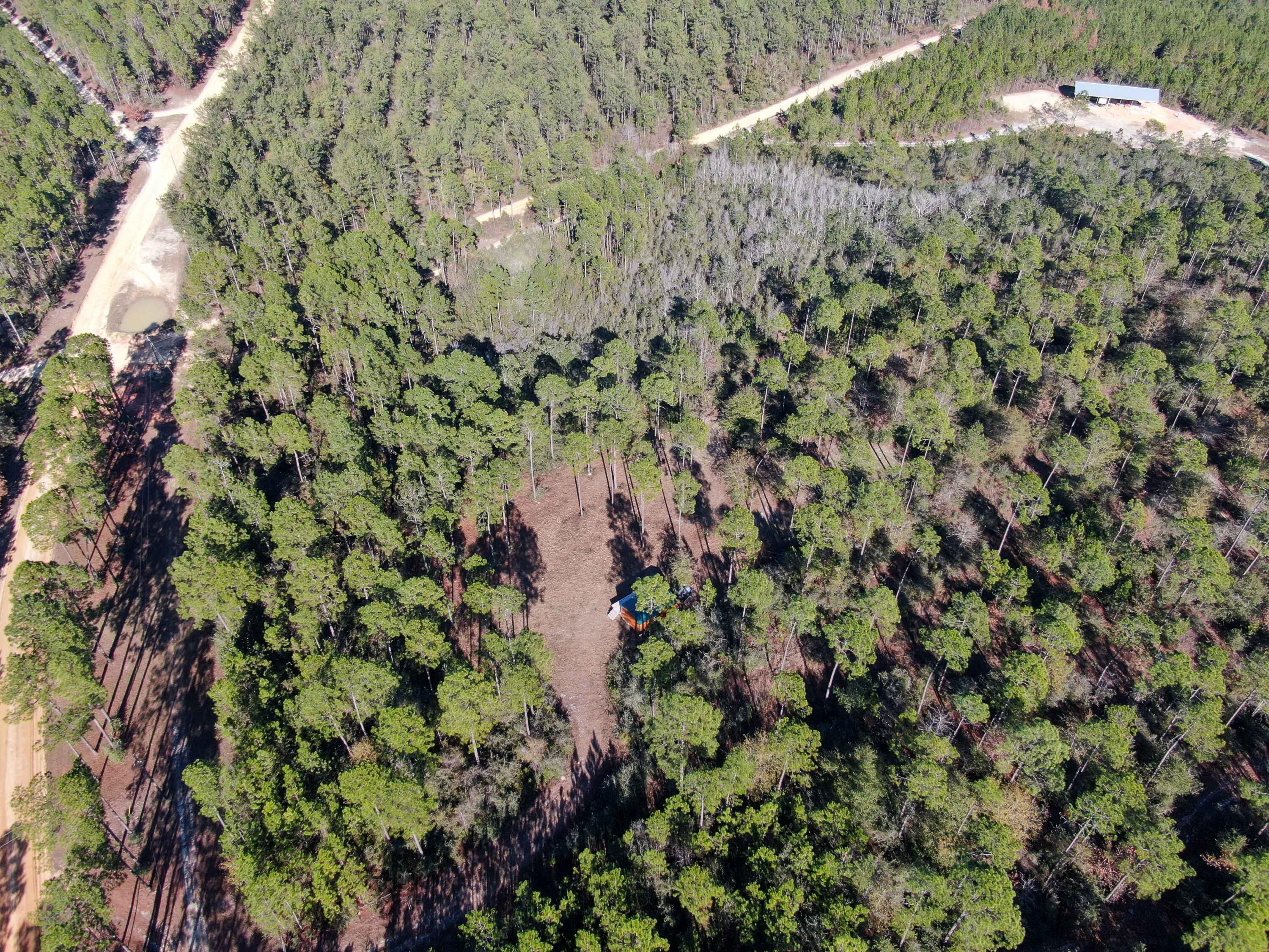 WALTON PLANTATION - Land