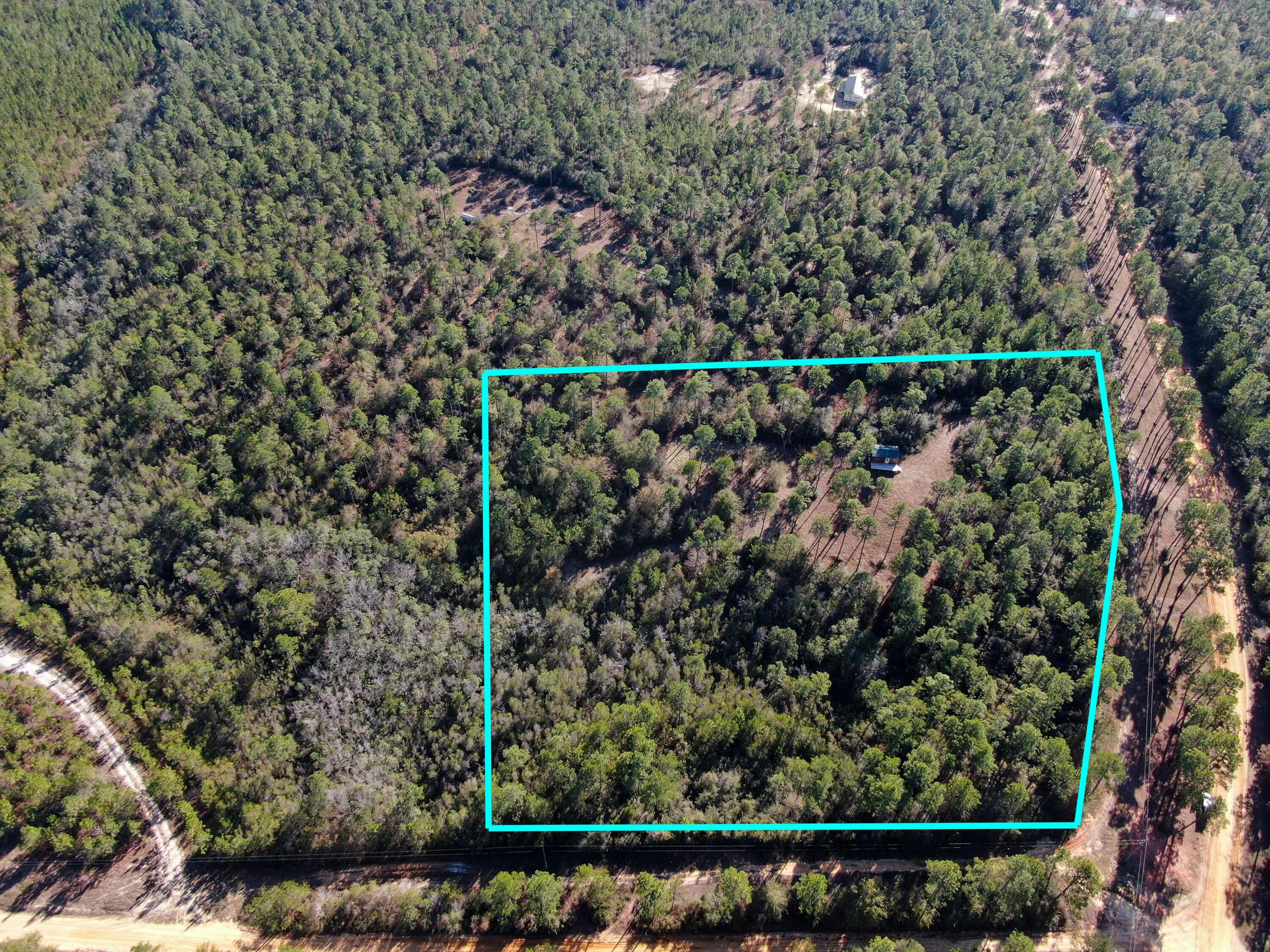 WALTON PLANTATION - Land