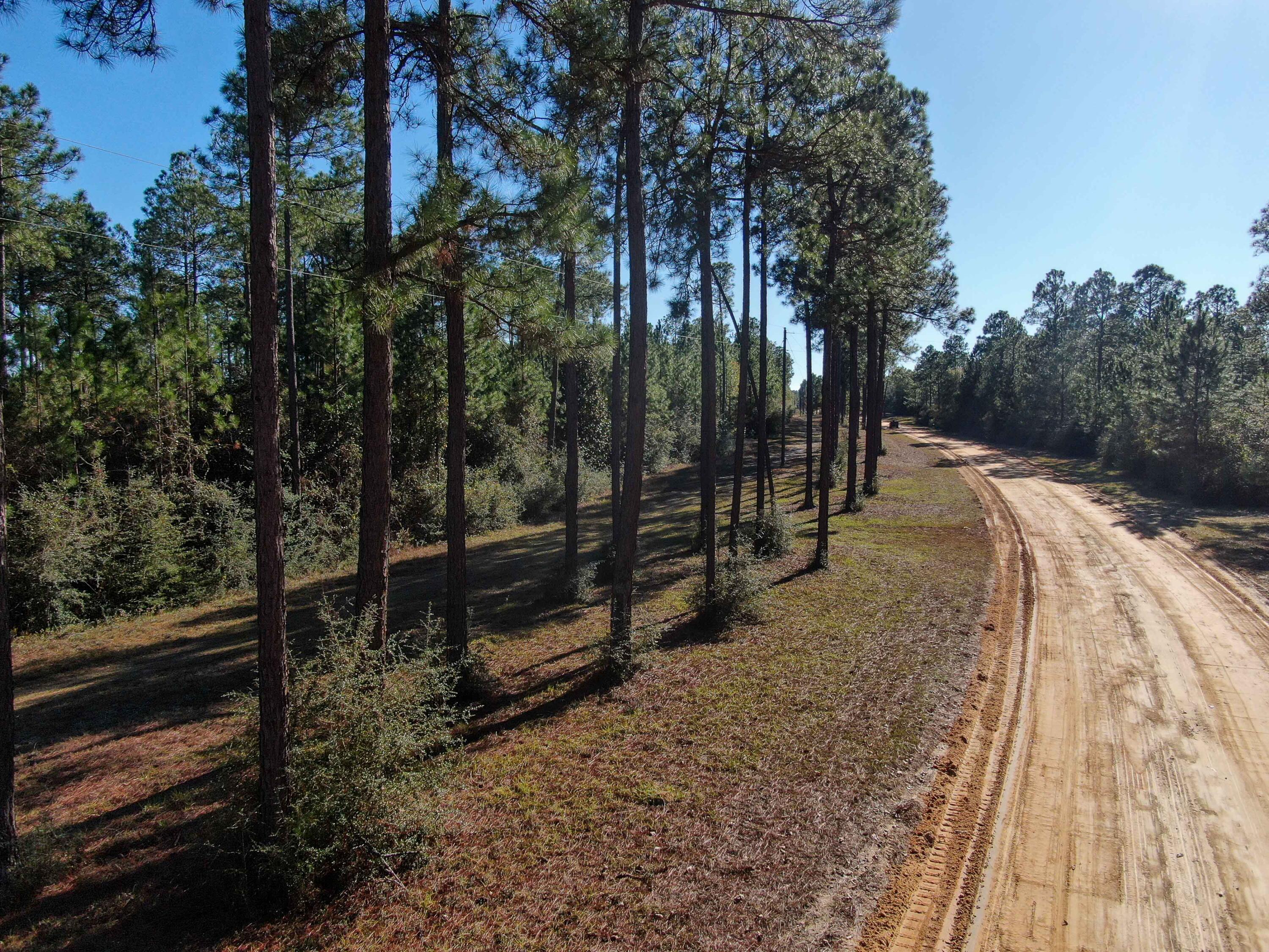 WALTON PLANTATION - Land