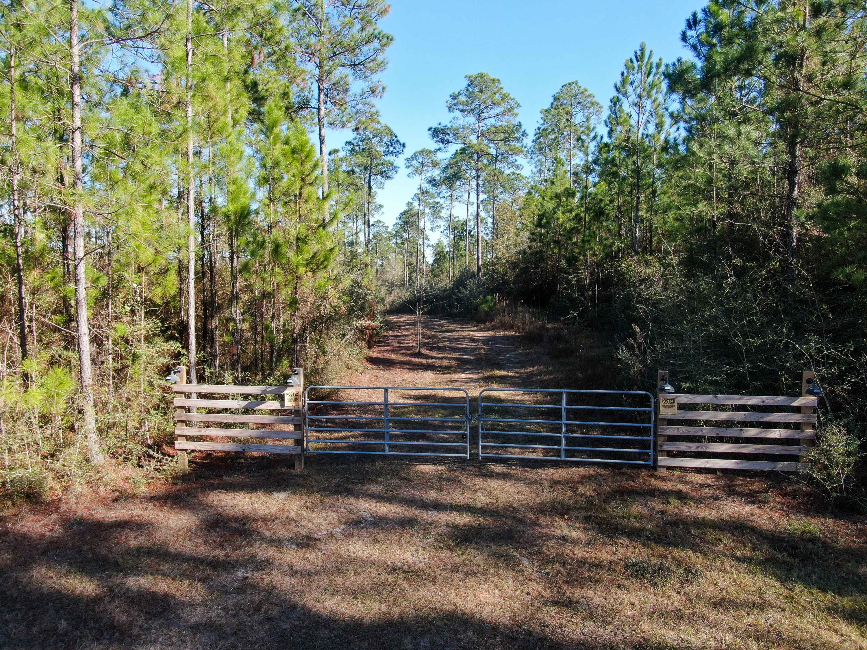 WALTON PLANTATION - Land