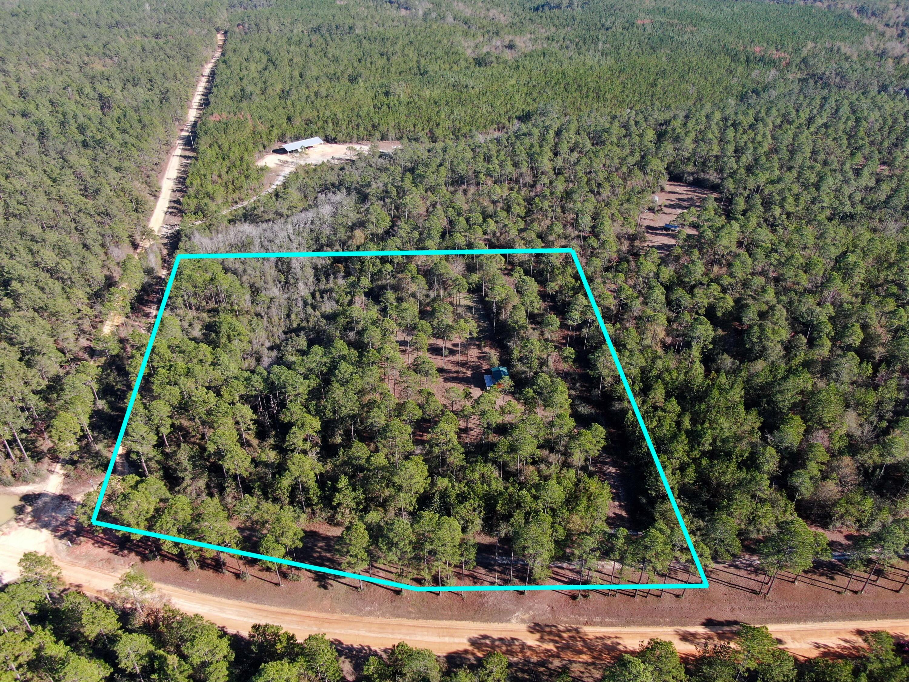 WALTON PLANTATION - Land