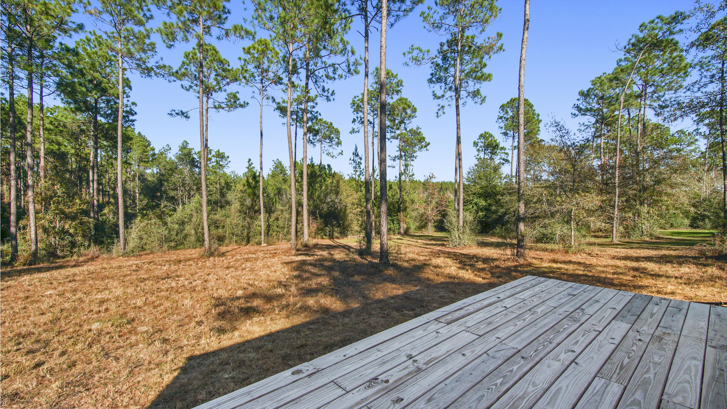 WALTON PLANTATION - Land