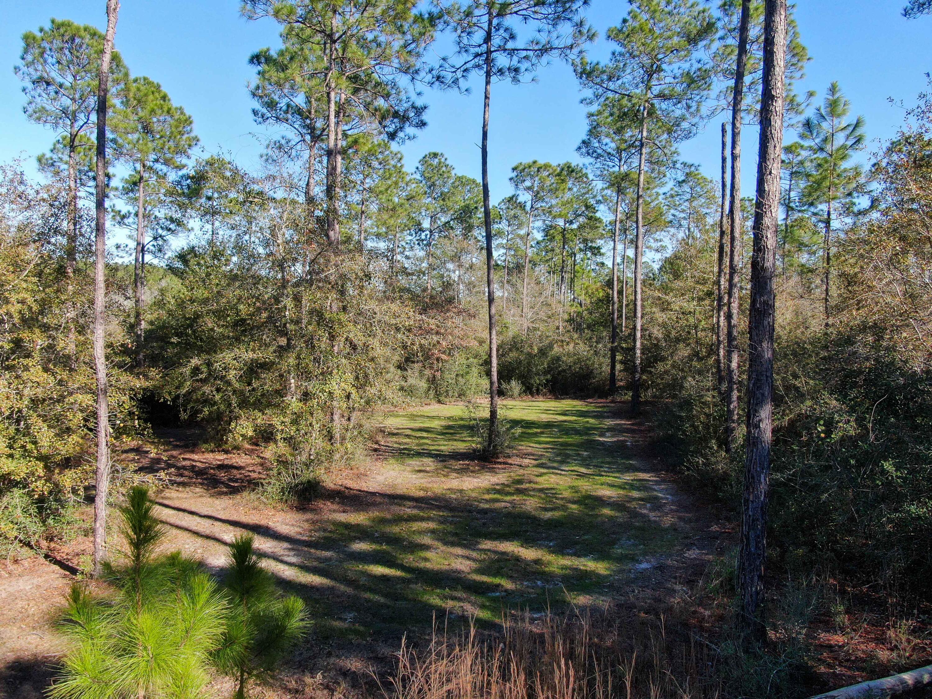 WALTON PLANTATION - Land