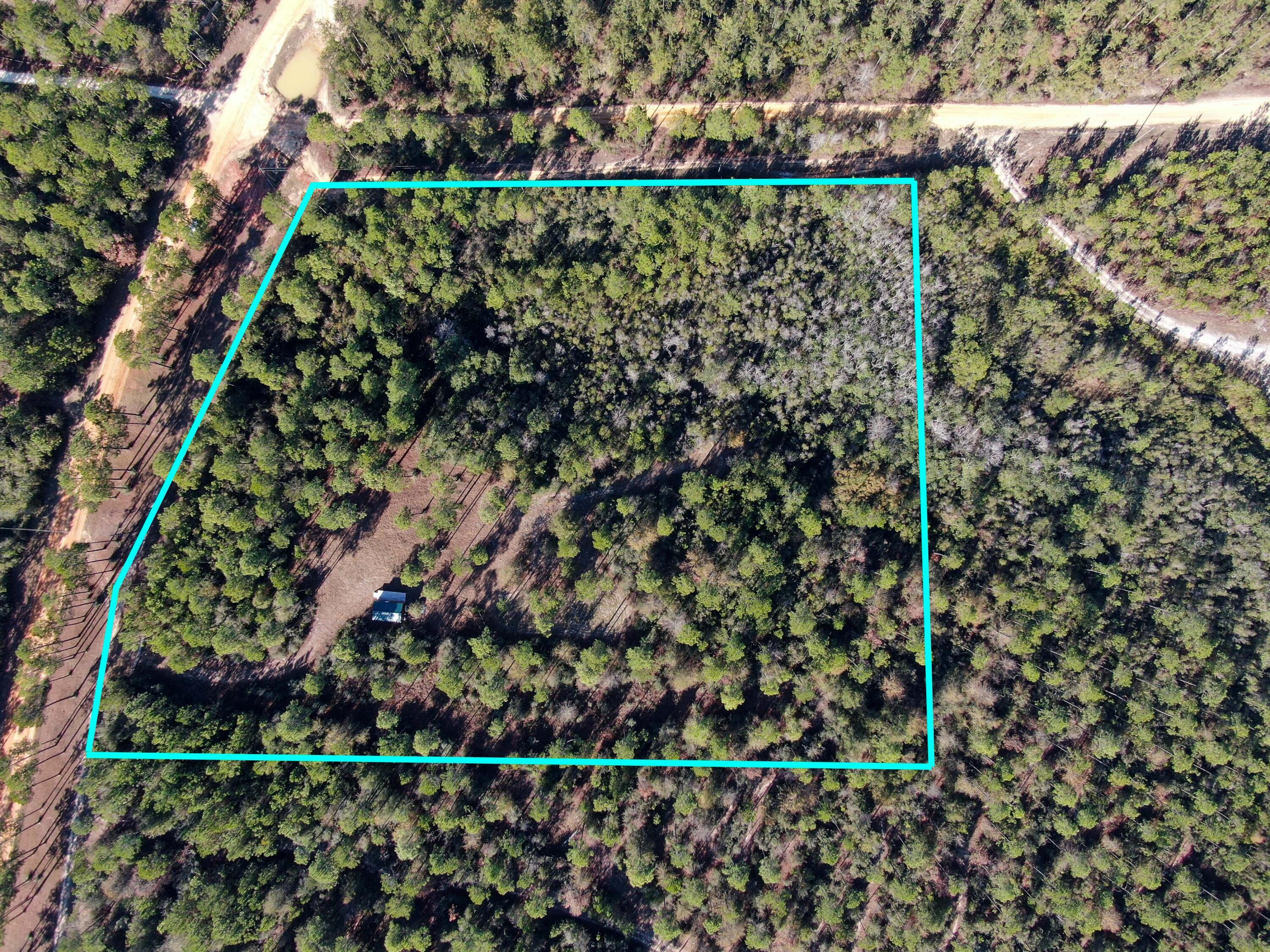 WALTON PLANTATION - Land