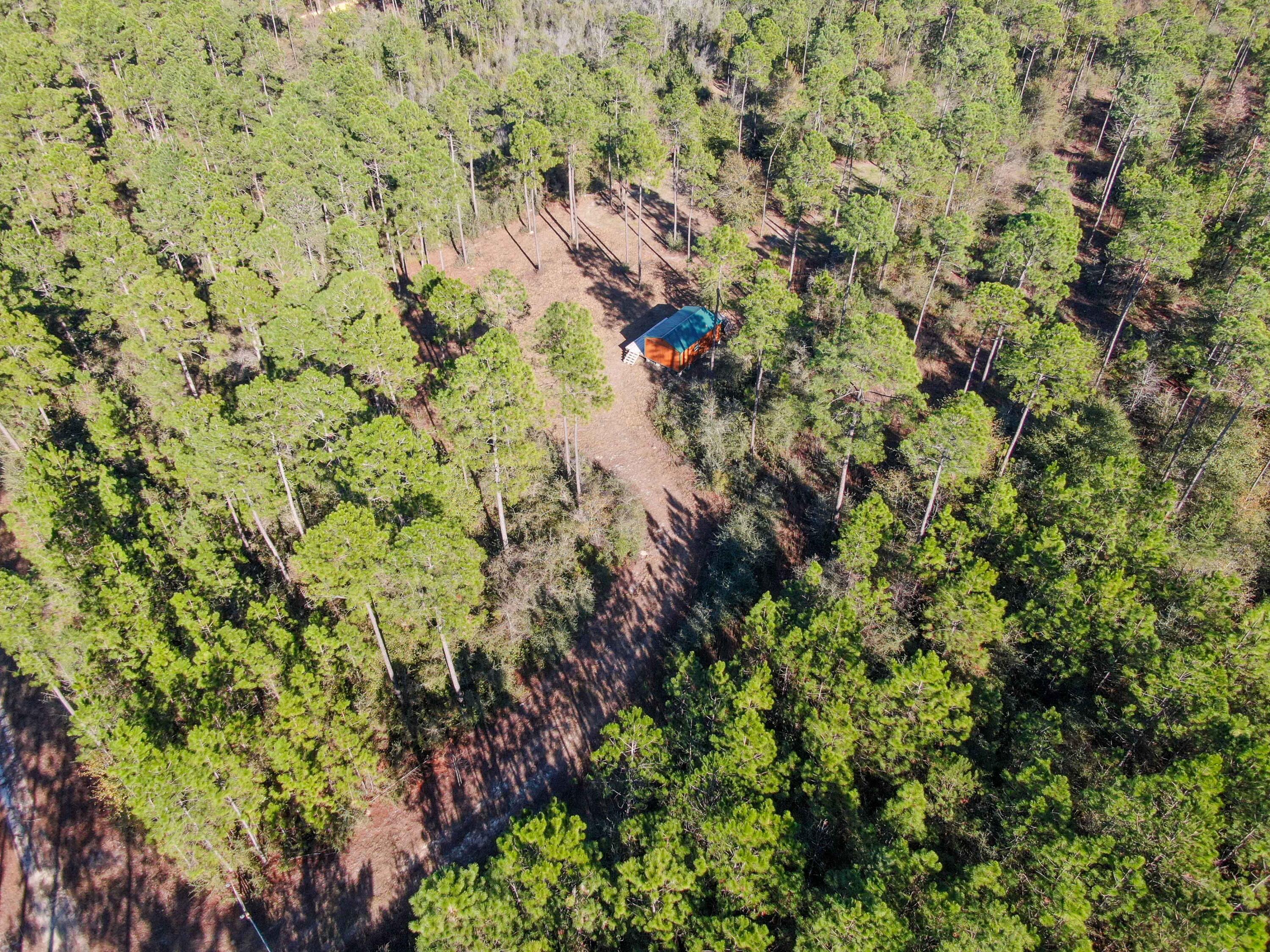 WALTON PLANTATION - Land