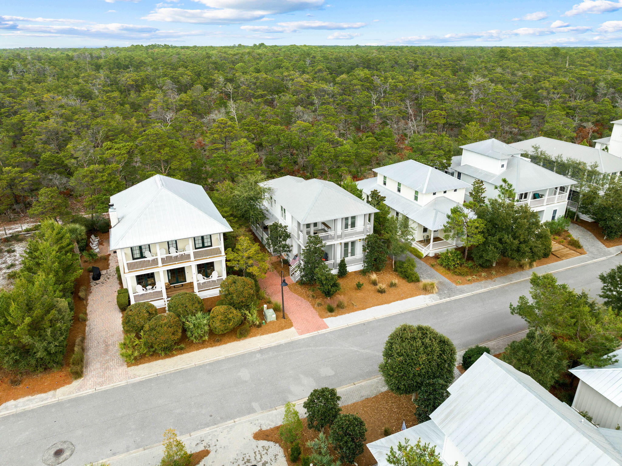 THE PRESERVE AT GRAYTON BEACH - Residential