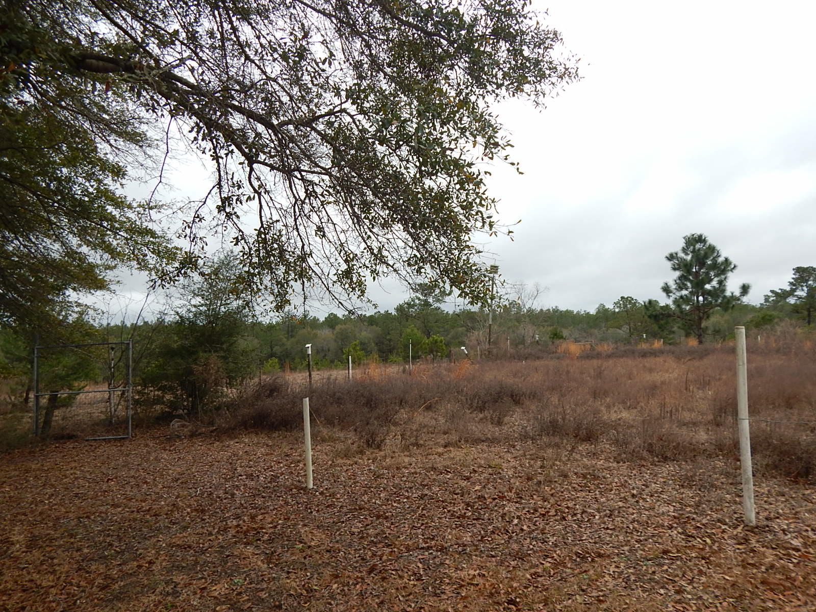 METES & BOUNDS - Farm