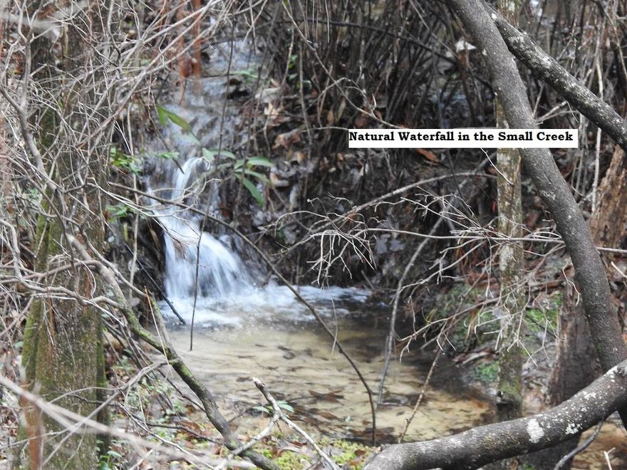 DREAM PROPERTY, CRYSTAL CLEAR CREEK that runs through the property. There is a 16x24 WORKSHOP, BARN with LOFT, CHICKEN COOP, 2 WELLS, BONUS Farm House, CROSS Fencing, GRAPE VINES, HUGE Hardwood Trees,& Pasture Land. If you have been looking for Agricultural Land then this would be a dream property for you with the BONUS OF A HOUSE. SAVE Thousands of Dollars in Outbuildings, Wells, Fencing and etc. PRE-APPROVAL NEEDS TO BE WITH A LOCAL BANK THAT HANDLES LARGE ACREAGE OR FARM CREDIT. PLEASE GET LOAN APPROVAL FIRST, IF NOT PAYING CASH.Buyer to verify measurements, schools, and anything of importance.