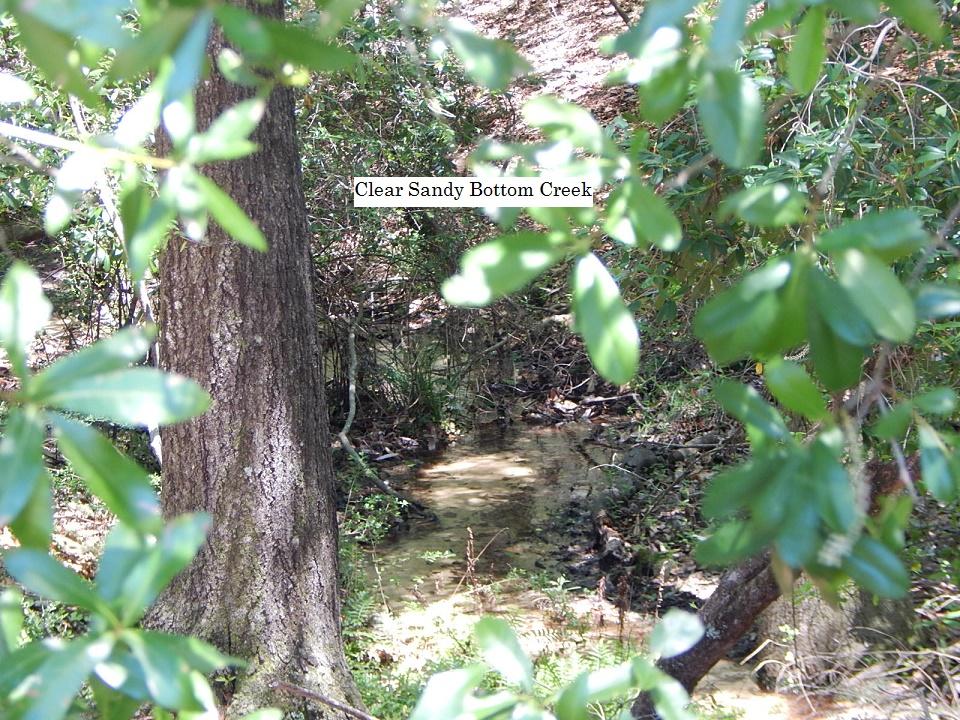 METES & BOUNDS - Farm