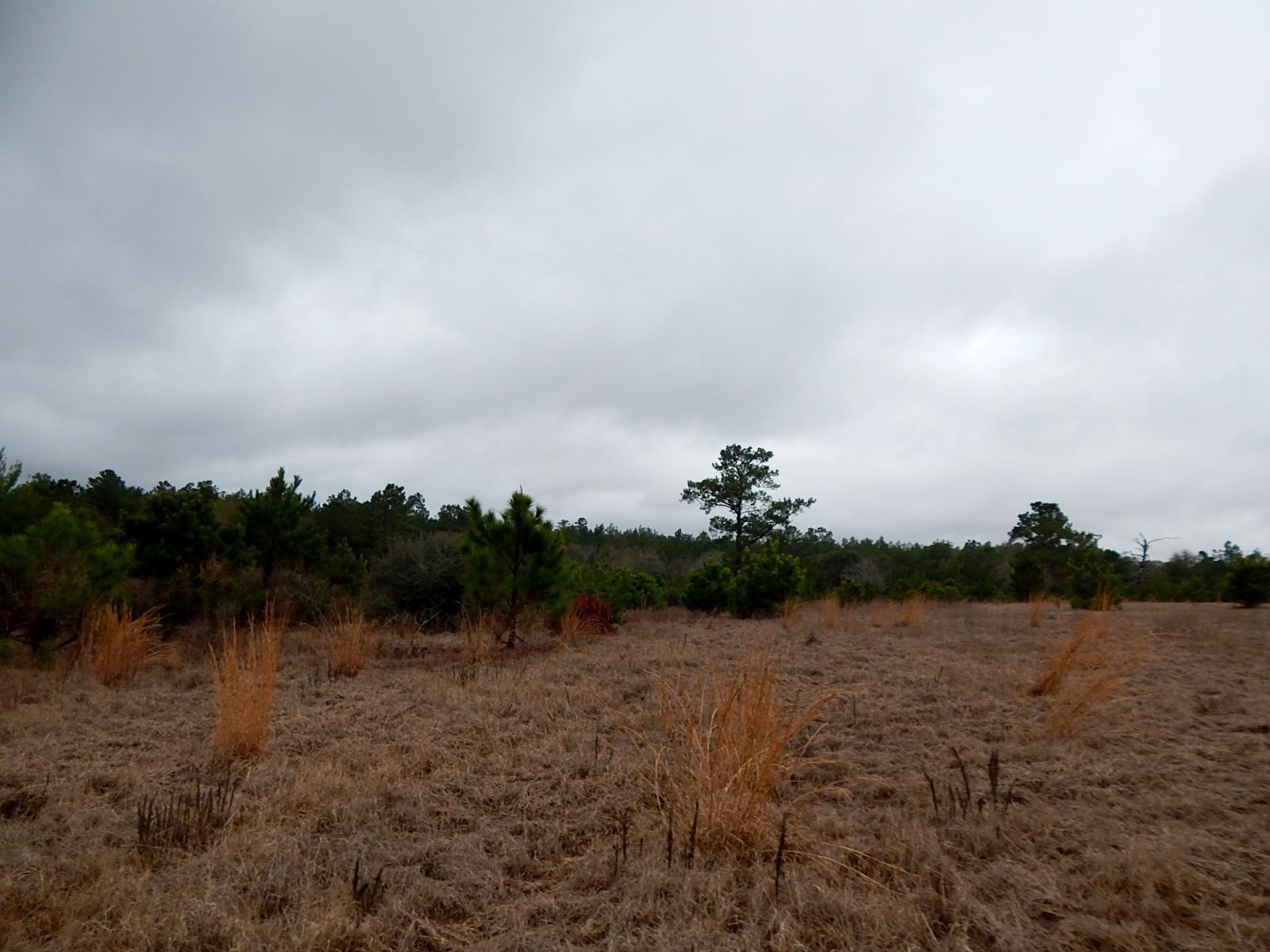 METES & BOUNDS - Farm