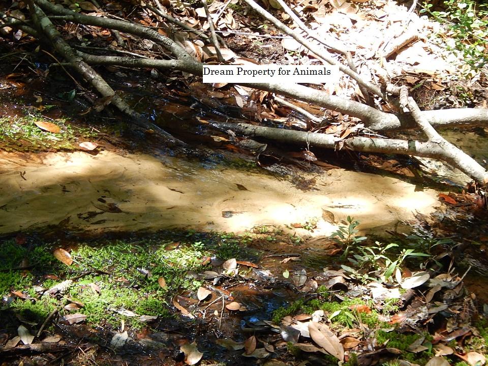 METES & BOUNDS - Farm