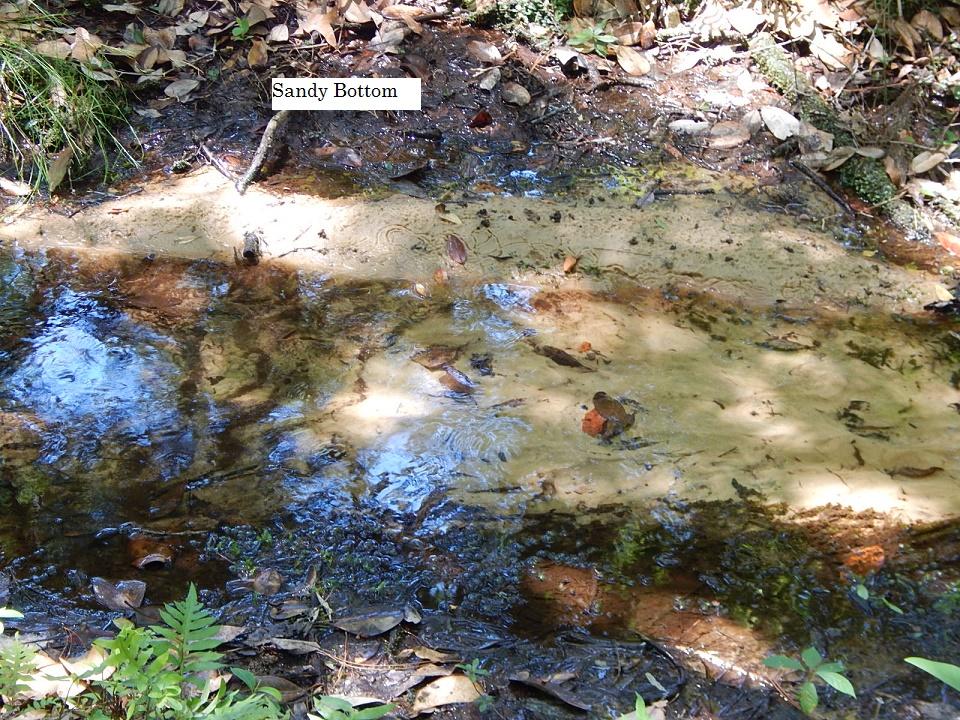 METES & BOUNDS - Farm