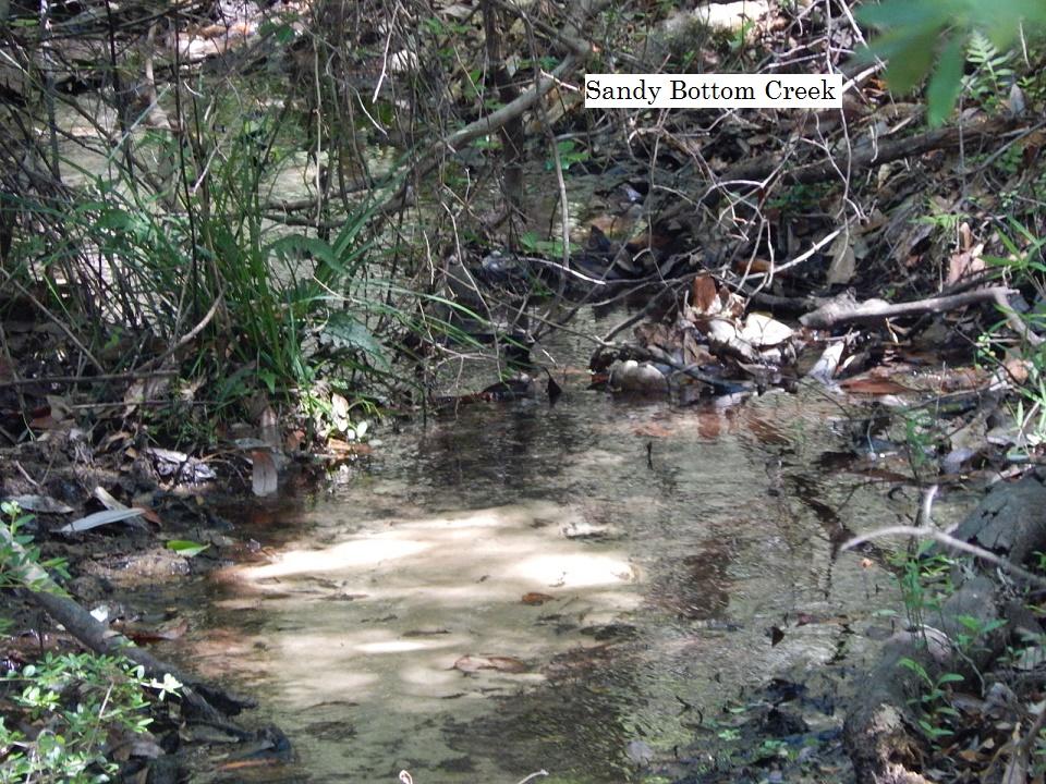 METES & BOUNDS - Farm