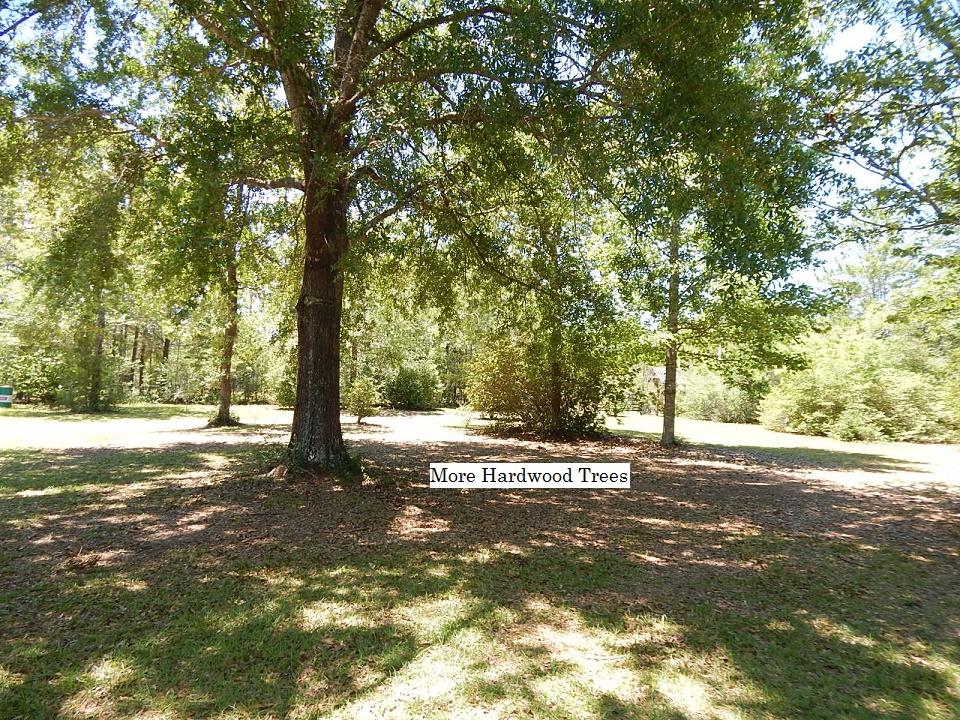 METES & BOUNDS - Farm