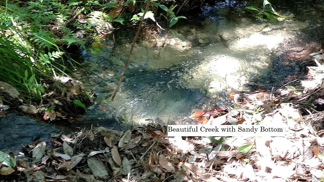 METES & BOUNDS - Farm