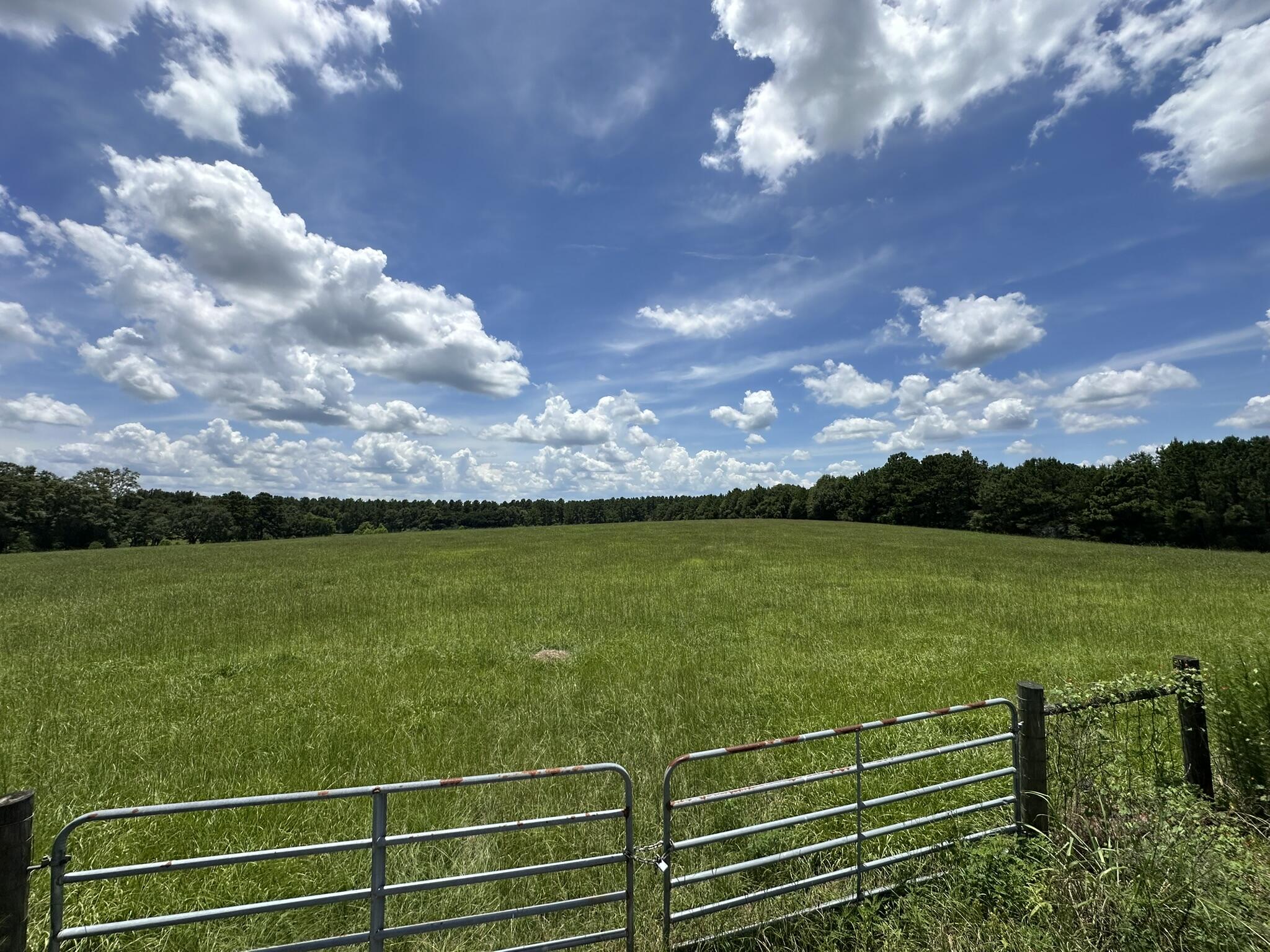 13.9+/- Acres | Hub Presley Road | Walton County, FLOpportunity awaits with this versatile 13.9+/- acre parcel located along Hub Presley Road in northern Walton County. With paved road frontage and a mix of wooded areas and open space, this property offers flexibility for a variety of potential uses. Whether you're considering a homestead, recreational getaway, or long‑term investment, the size and layout provide ample room to bring your vision to life. Power is available at the road, and there is no HOA or known deed restrictions. Located within the Paxton school zone, this area offers a rural setting while still providing reasonable access to Florala, Crestview, and DeFuniak Springs. Buyer to verify all measurements, zoning, land use, and utility access to their satisfaction.