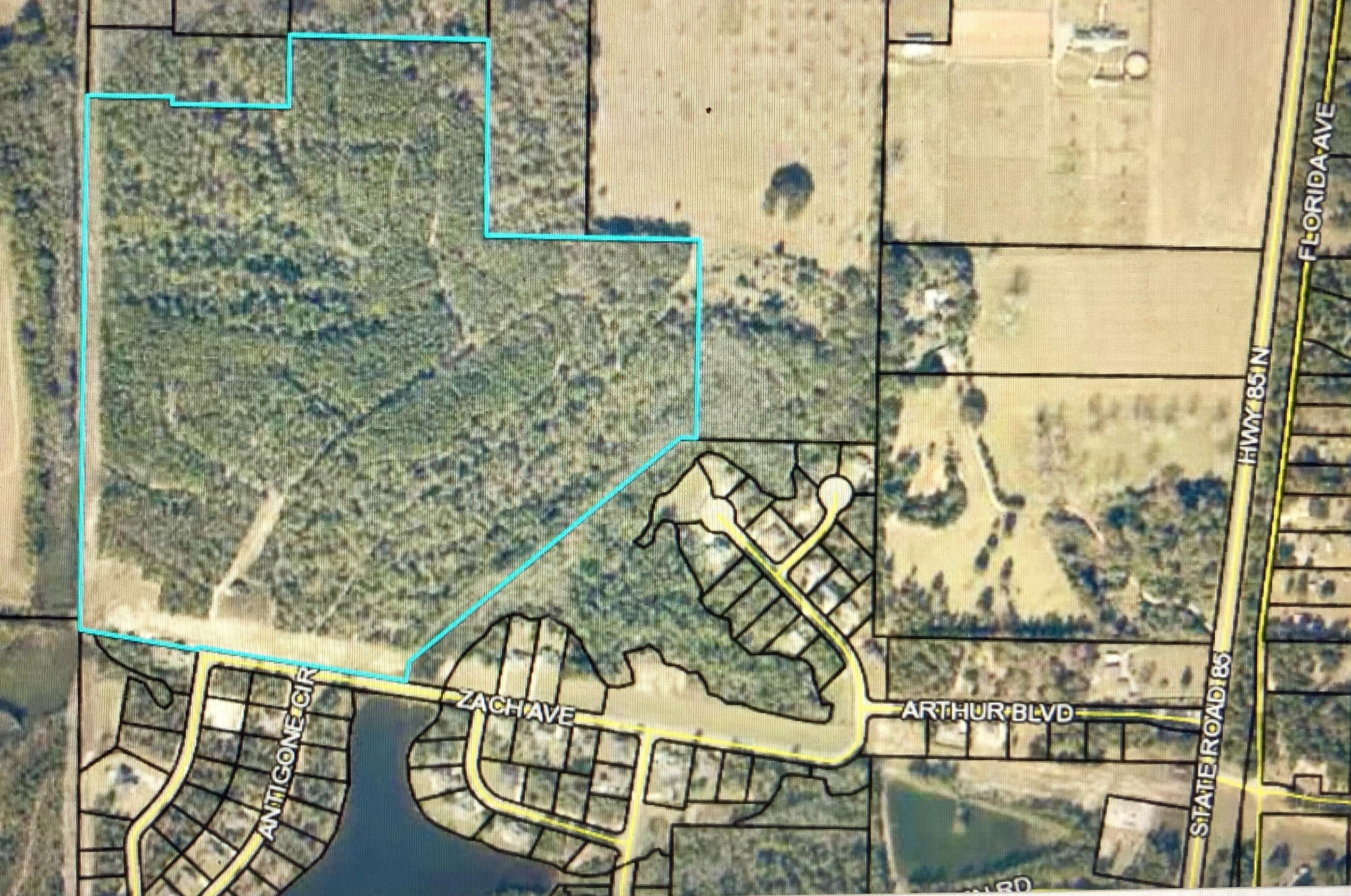 Lake Arthur Estates- REO 73 Acre parcel with Development order in place. Builder or investor dream property! 108 lots with DOT Trips approved. This peaceful and tranquil North Crestview location with easy access off HWY 85 is the perfect spot for your new residential project. Homeowners flock to this area and are waiting for YOUR inventory! Phase one is sold, phase 2 is developed, and phase 3 is awaiting you. This planned community features beautifully landscaped custom homes and curb appeal and offers residents fishing, playground, tennis, volleyball, and a natural setting. Come and see why Crestview, FL is one of the fastest growing cities in the USA and make that growth part of your own portfolio.