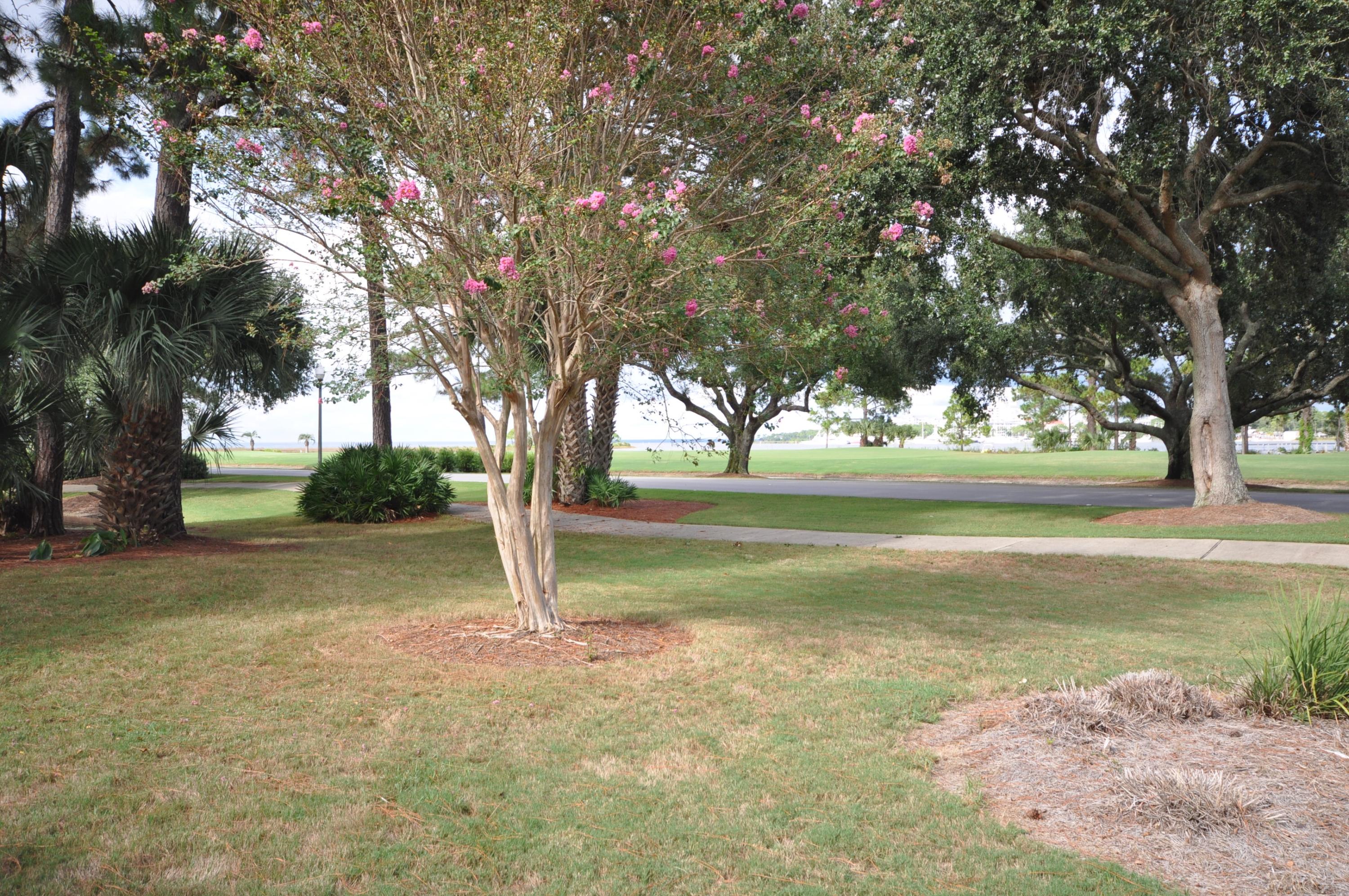 BAYOU VILLAGE CONDO PH 1 - Residential