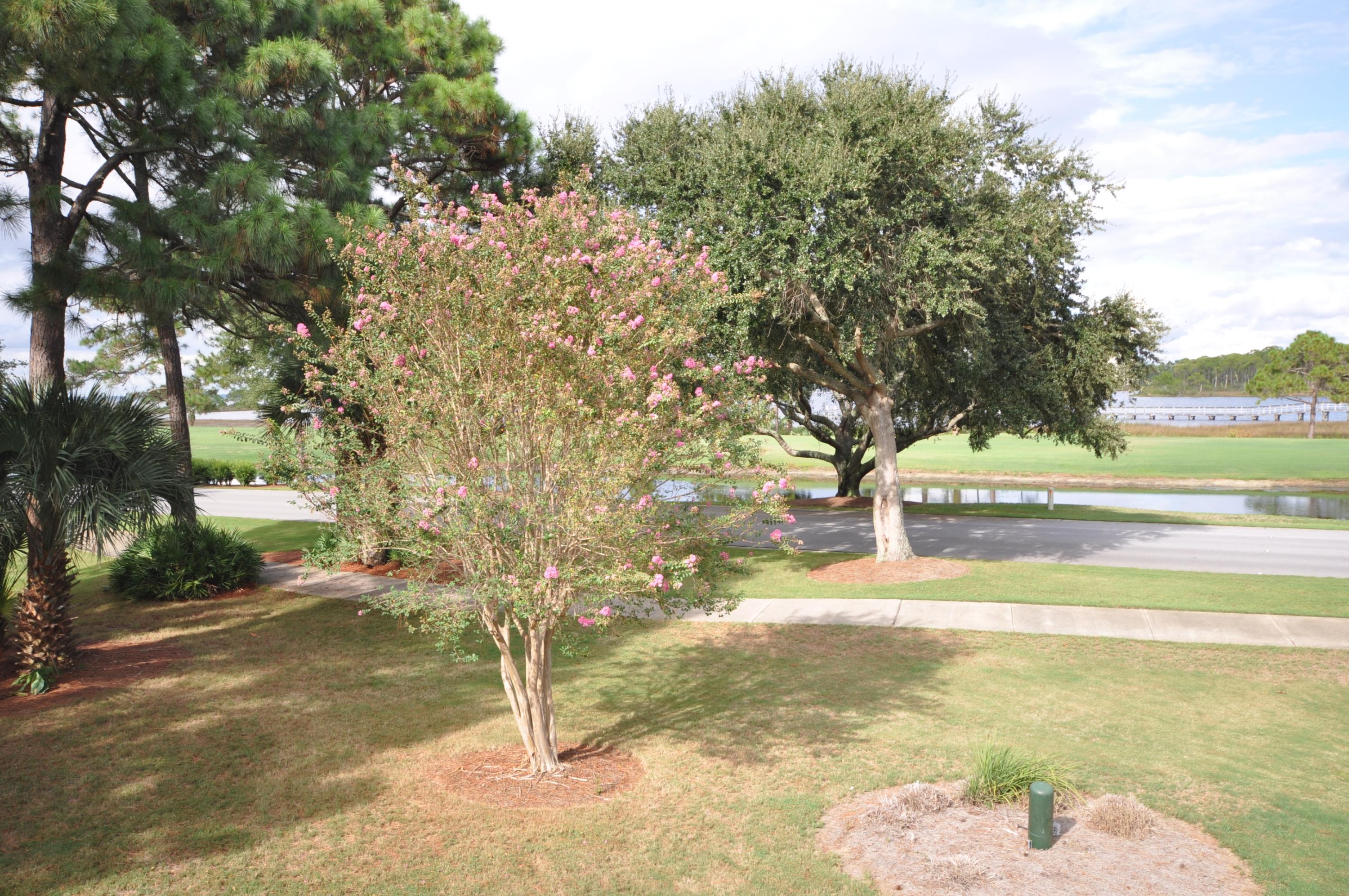 BAYOU VILLAGE CONDO PH 1 - Residential