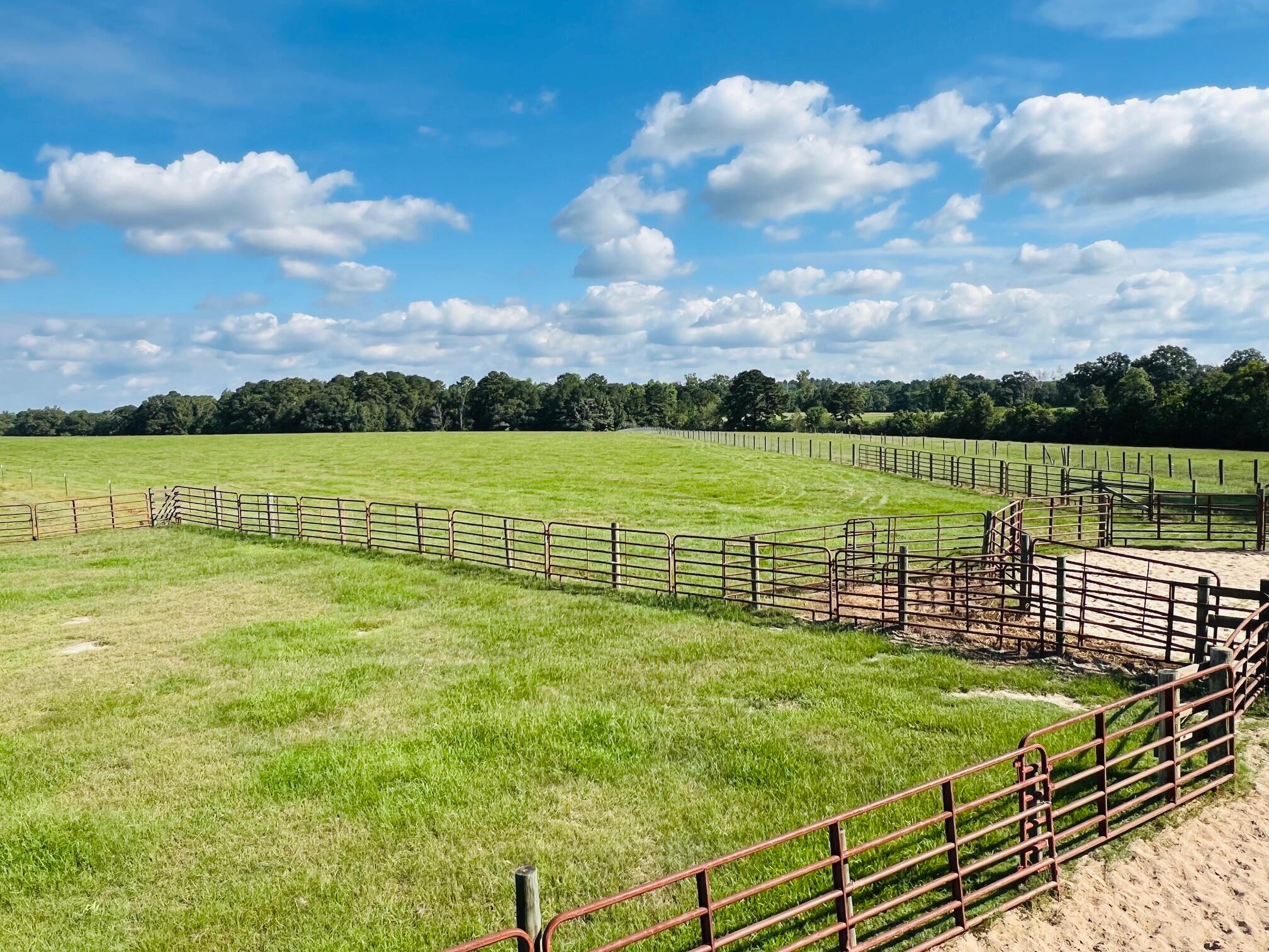 Courson Farm - Farm