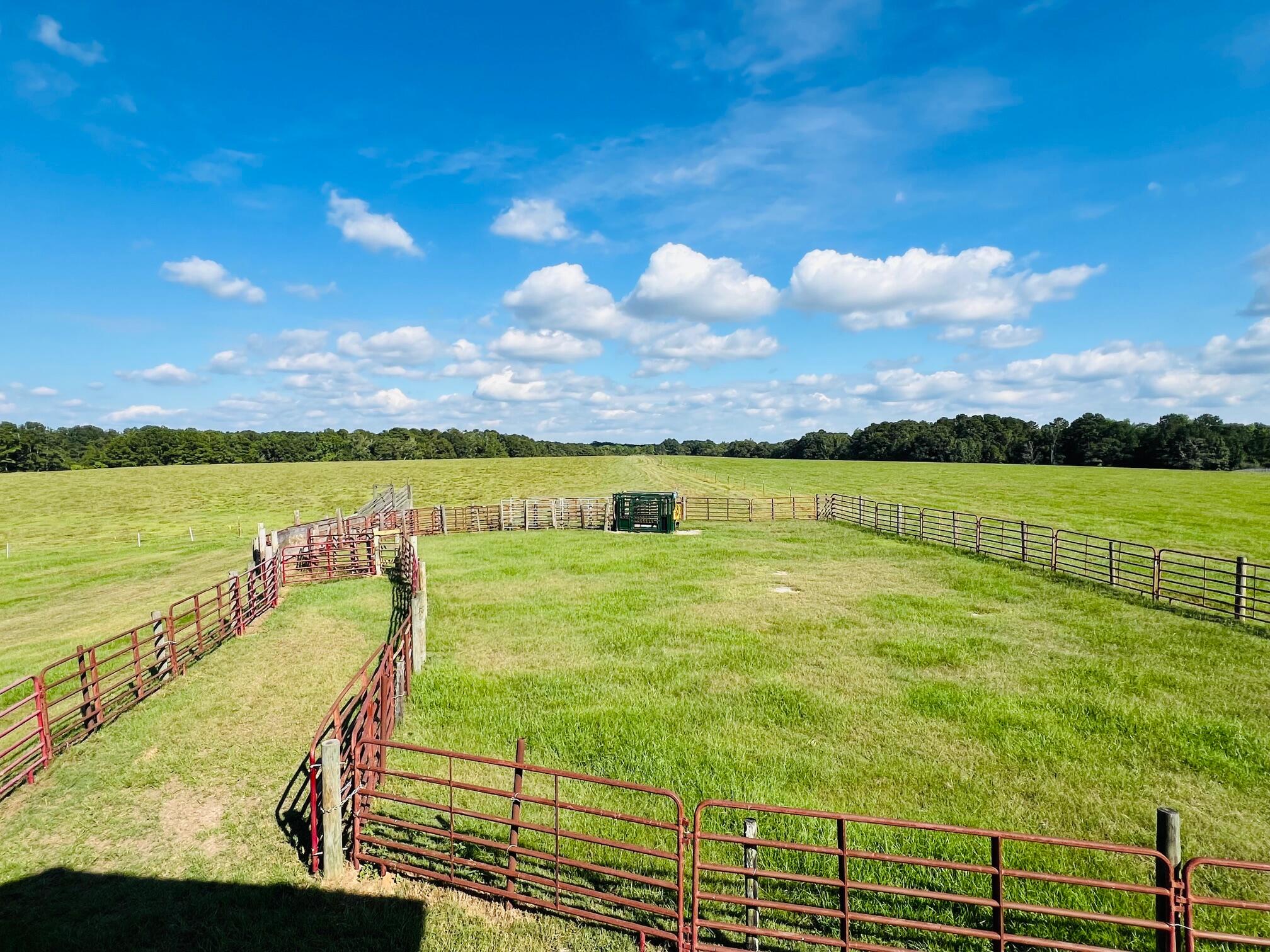 Courson Farm - Farm