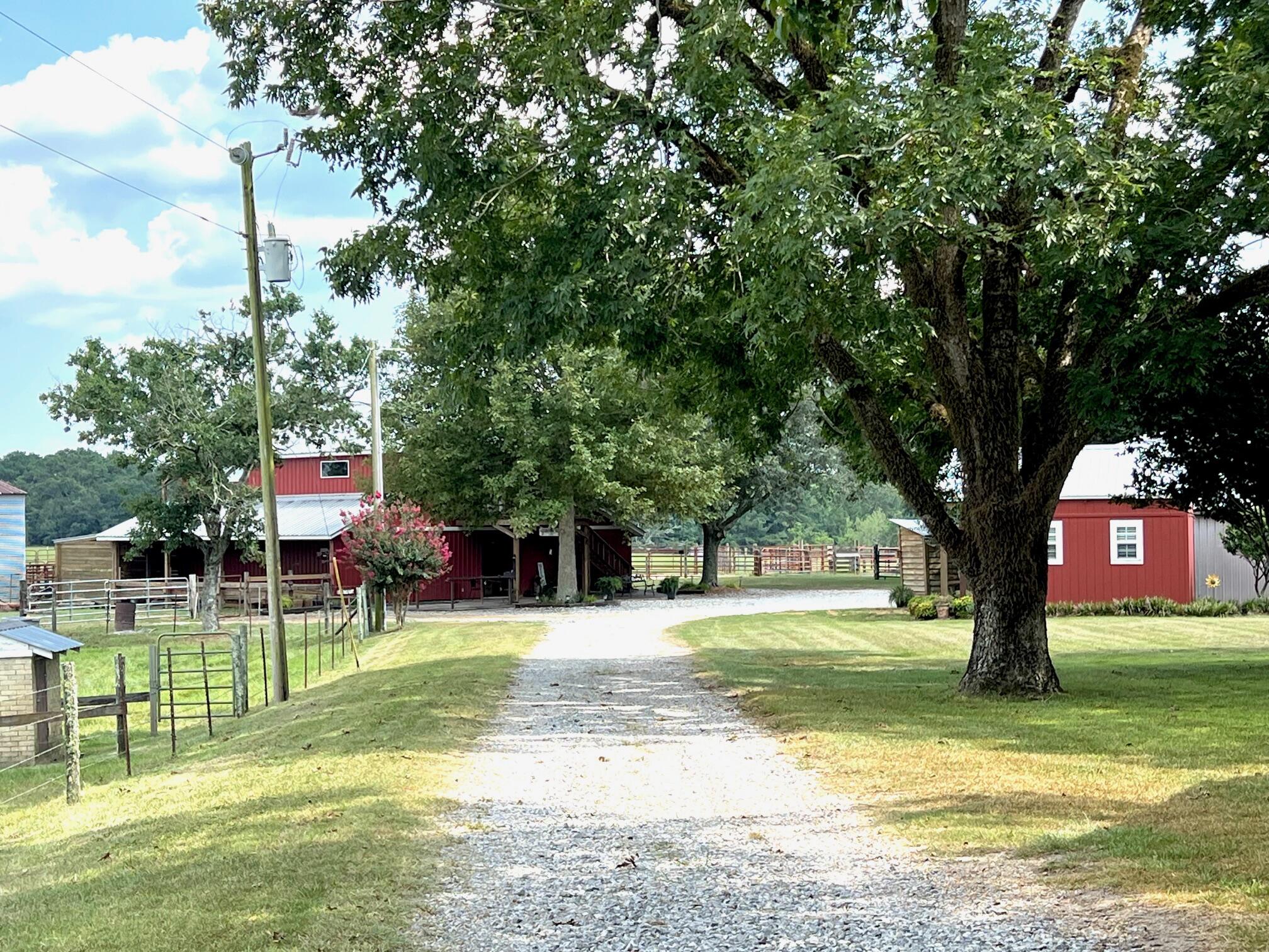 Courson Farm - Farm