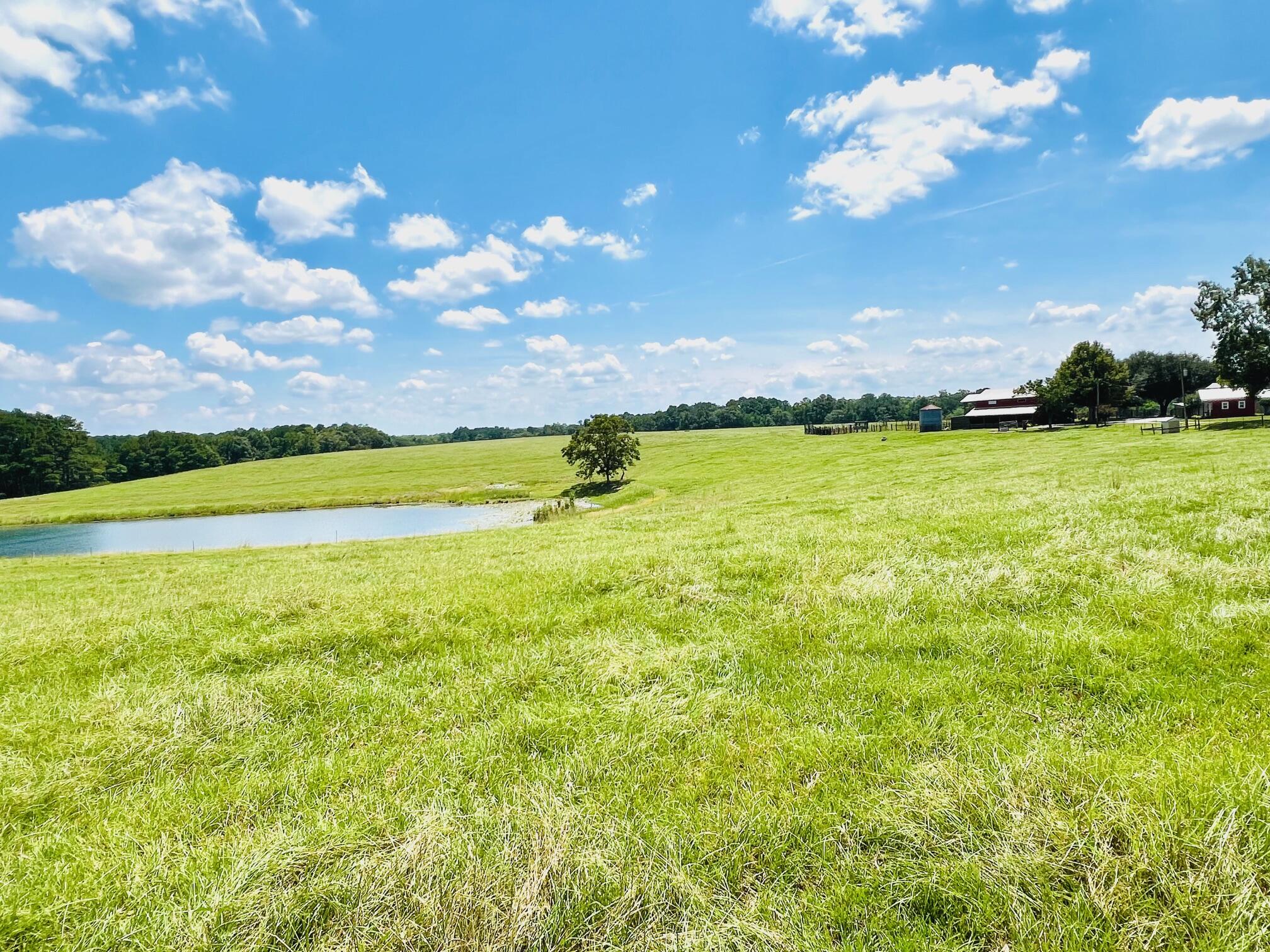 Courson Farm - Farm