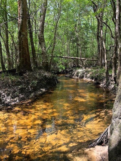 WALSH GLEN ESTATES - Residential