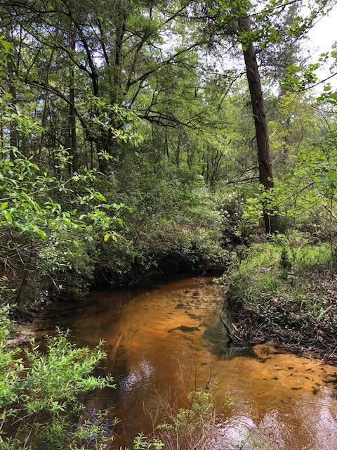 WALSH GLEN ESTATES - Residential