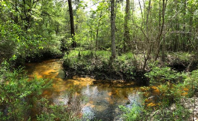 WALSH GLEN ESTATES - Residential