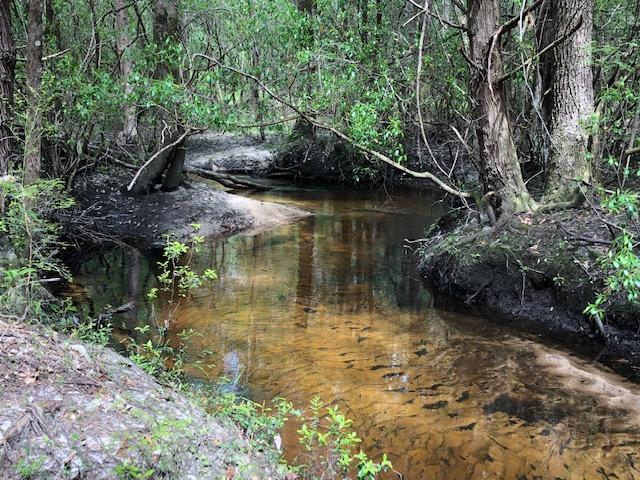 WALSH GLEN ESTATES - Residential