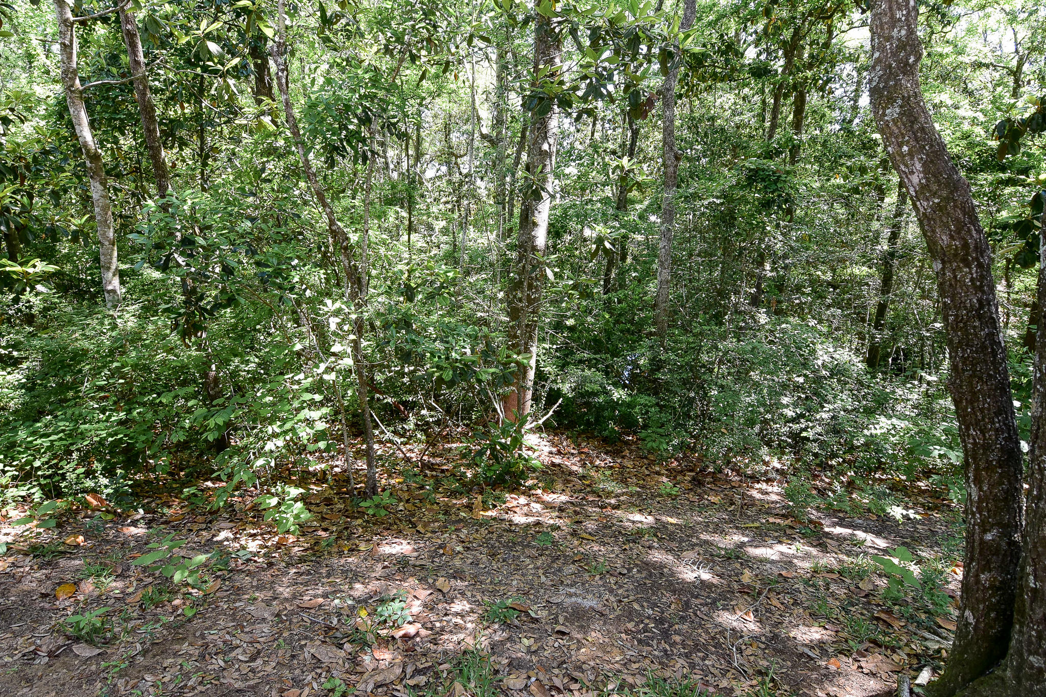 NICEVILLE - Residential