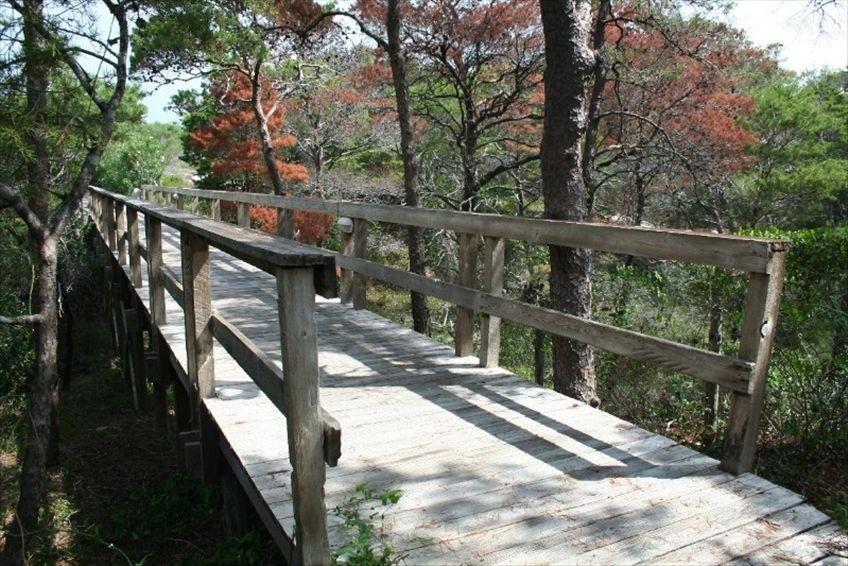 TIDES AT TOPS'L - Residential