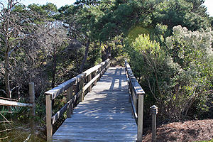 TIDES AT TOPS'L - Residential