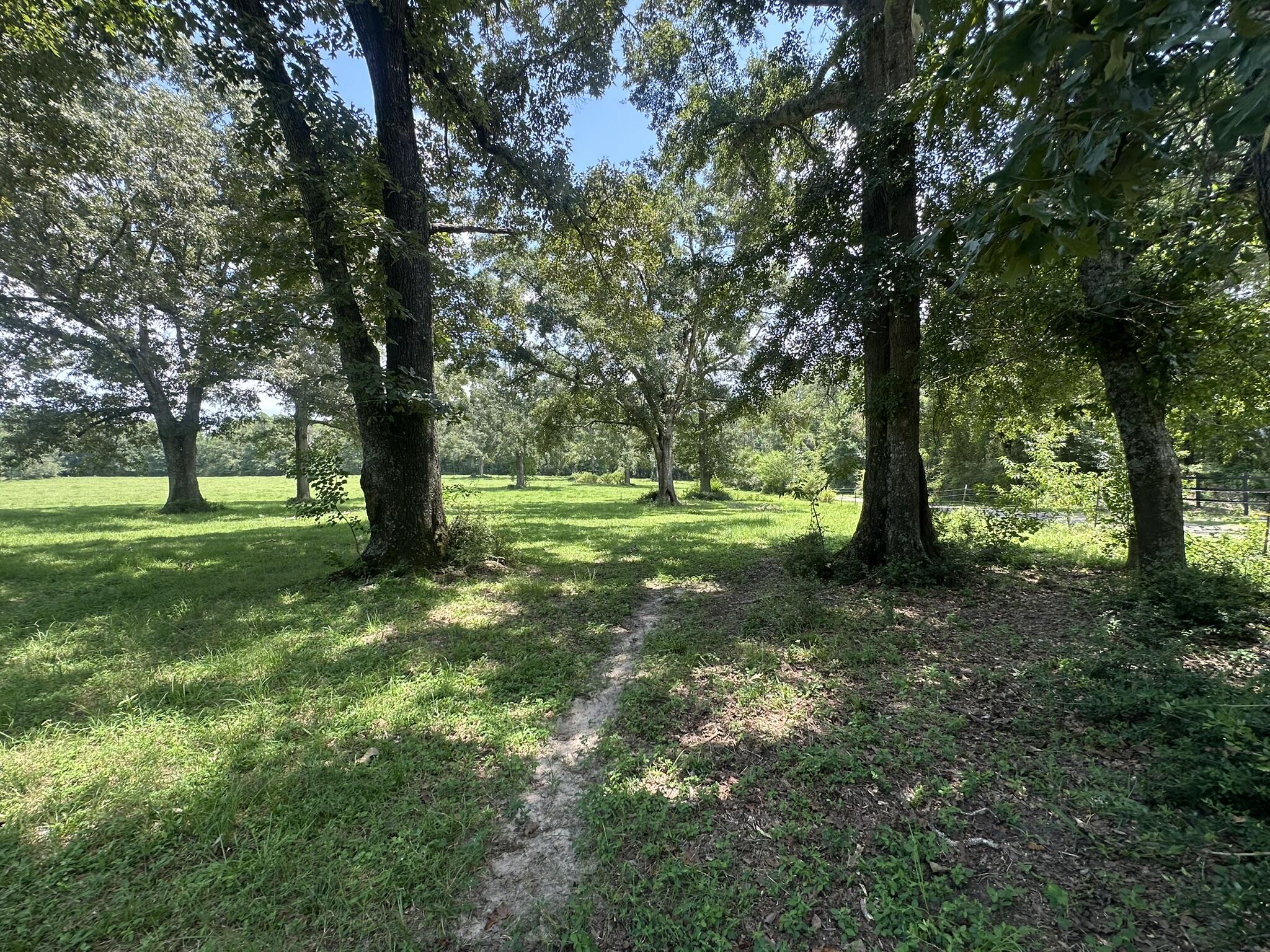 Positioned along Bullard Road, this 8.64 +/- acre parcel offers a generous stretch of open and wooded land suitable for a variety of future uses. The size and layout provide flexibility for those seeking space to build, farm, or enjoy outdoor recreation in a peaceful rural setting. With a mix of natural vegetation and level terrain, this tract presents a solid foundation for a private homesite or long-term investment. Seller will consider owner financing with approved terms. Sale to be contingent upon final approval of the property split by Santa Rosa County. Seller has never resided on the property and has no knowledge of any homeowners association, utilities, or easements; buyer to verify all information deemed important during due diligence.