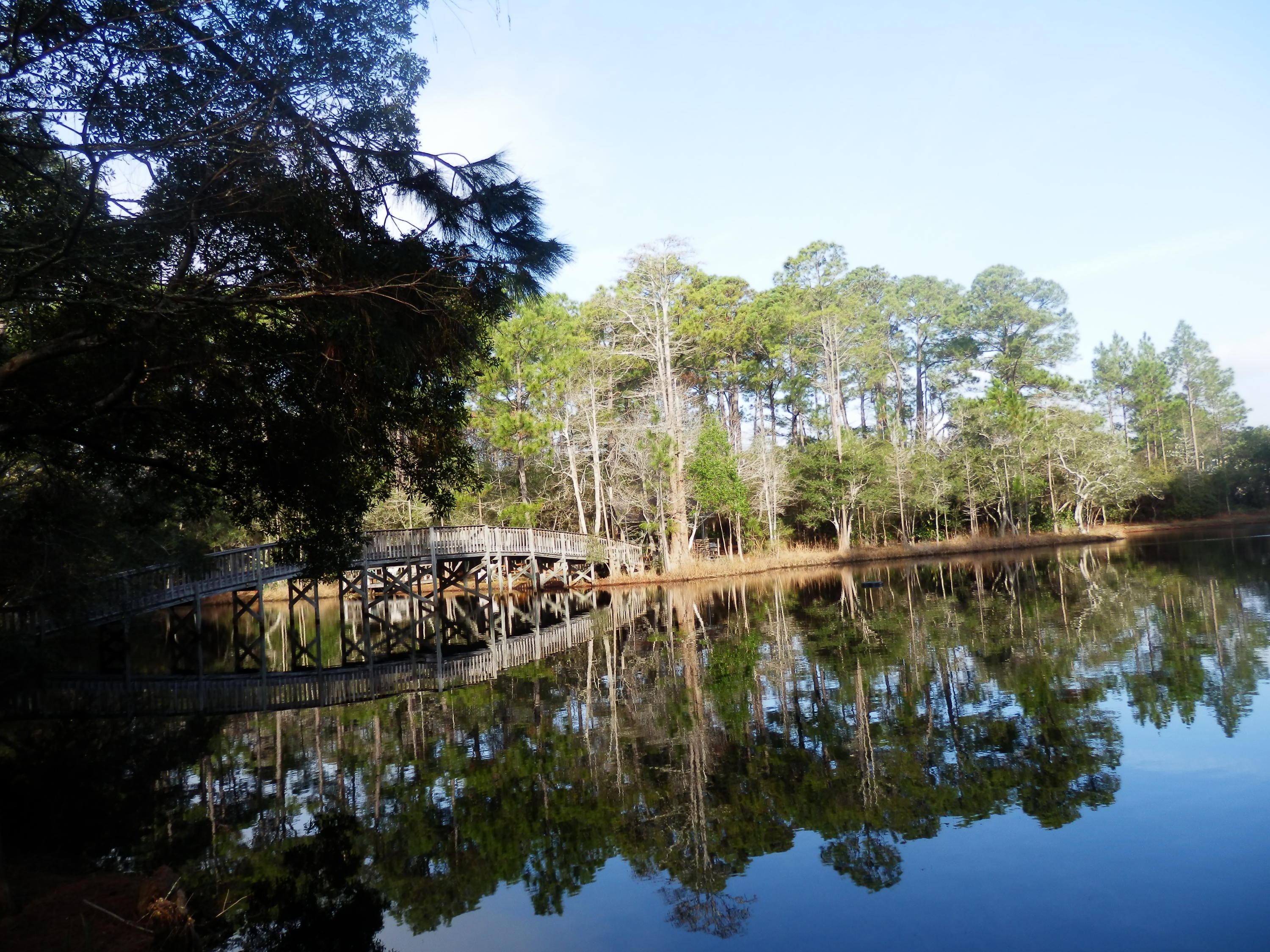 CASSINE VILLAGE - Residential