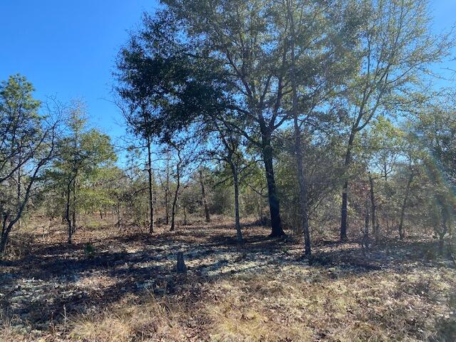 Looking for acreage in North Walton County? These 4 acres are level and ready for your manufactured or custom home. Property is located on a county maintained dirt road. The land is undeveloped but has access to public water and electricity available at road. Tap fee is not paid and will require septic. Survey is on file.