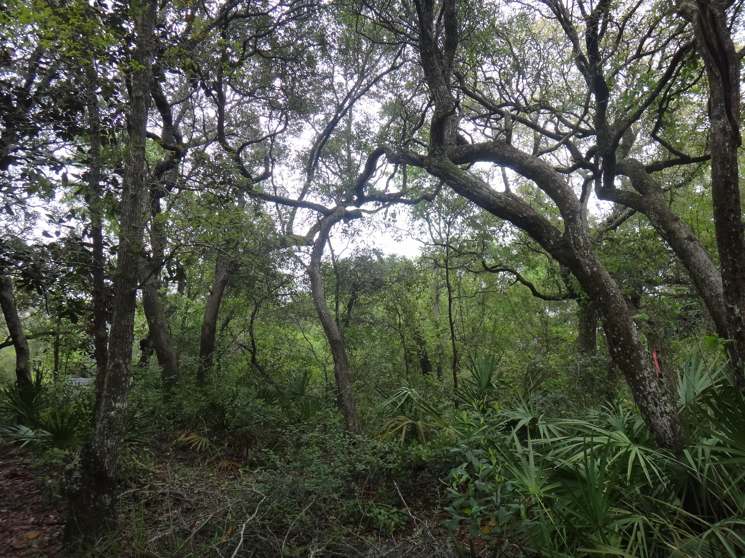 SEAGROVE 2ND ADDN - Land