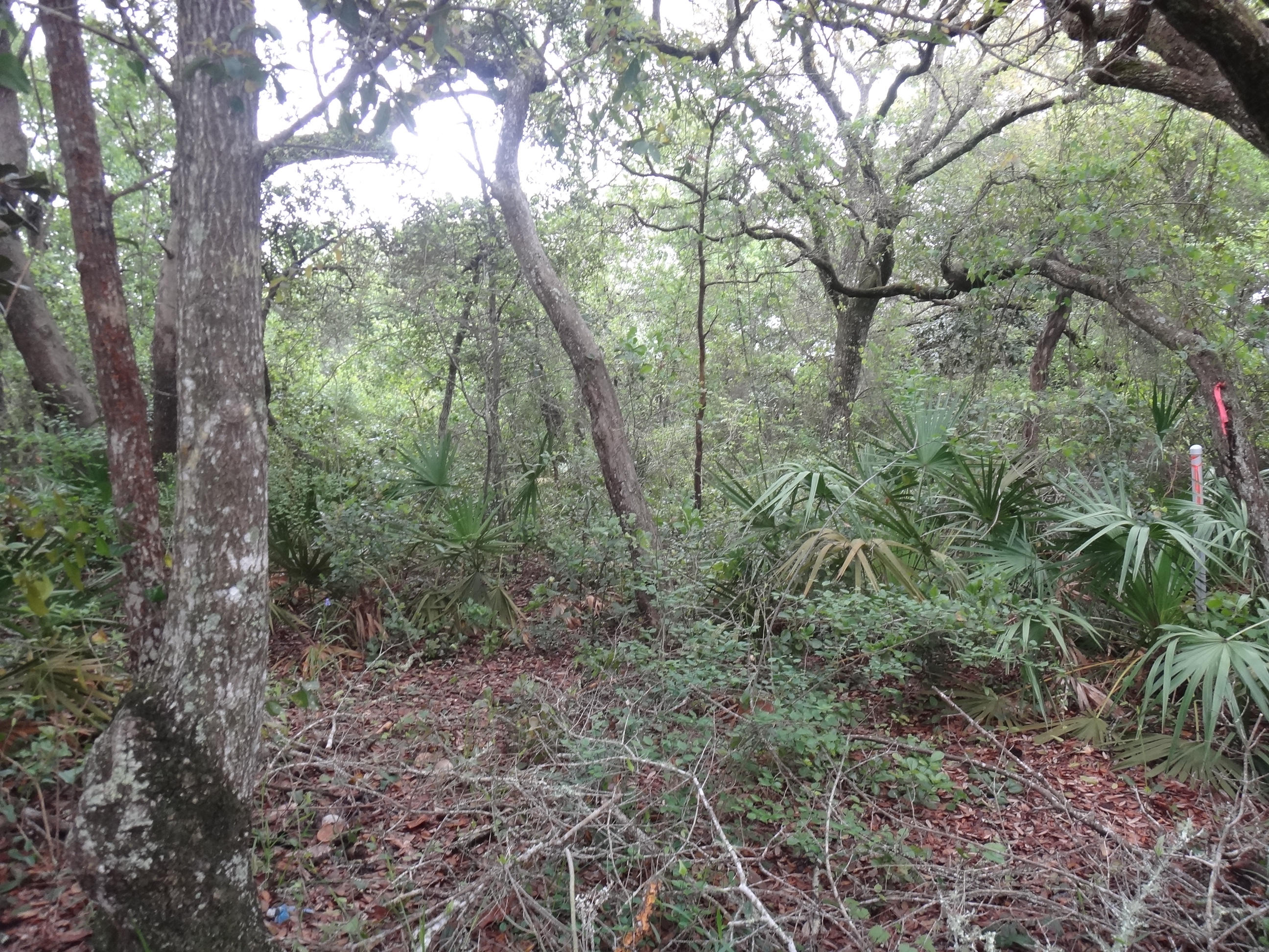 SEAGROVE 2ND ADDN - Land