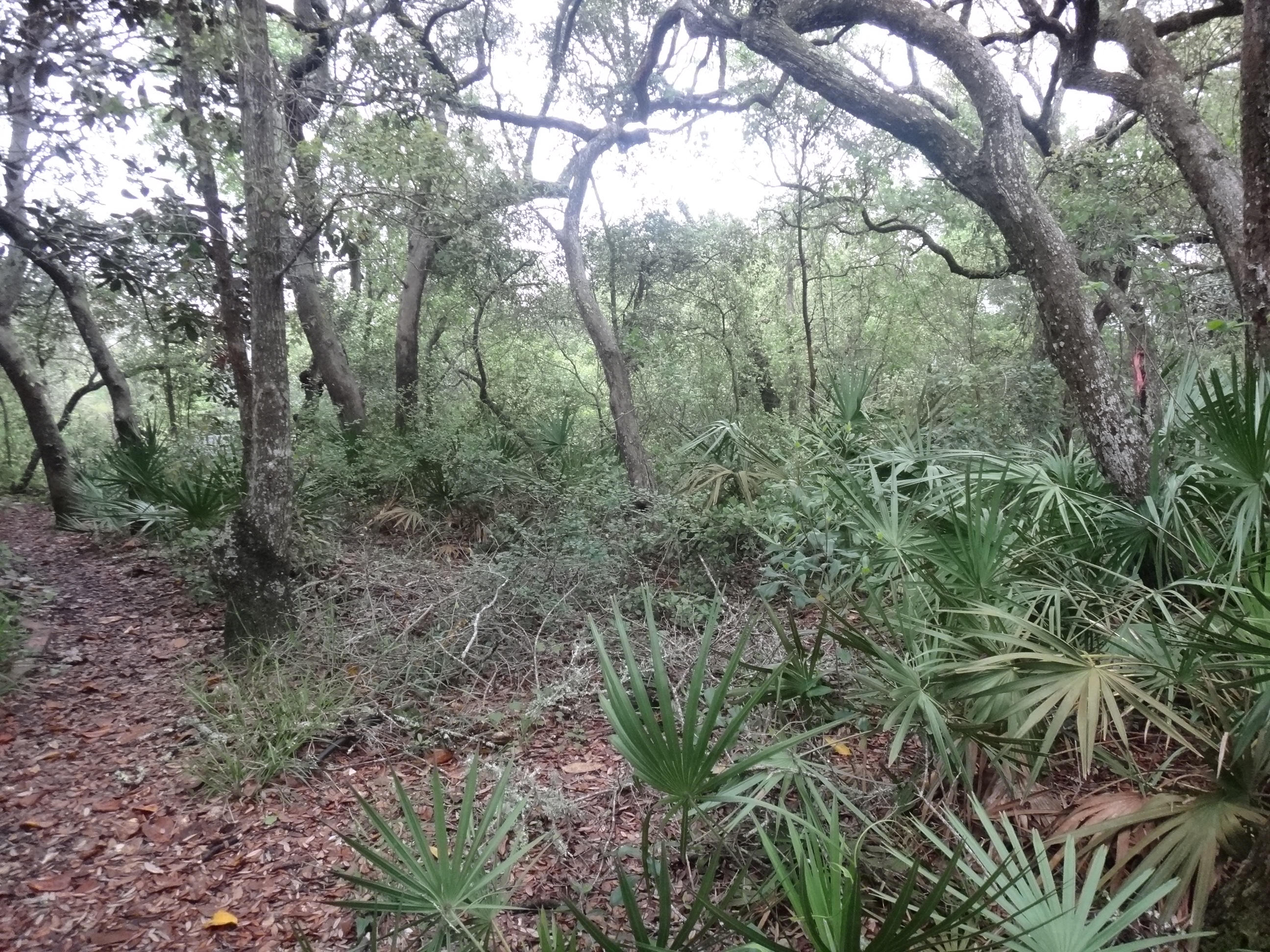 SEAGROVE 2ND ADDN - Land