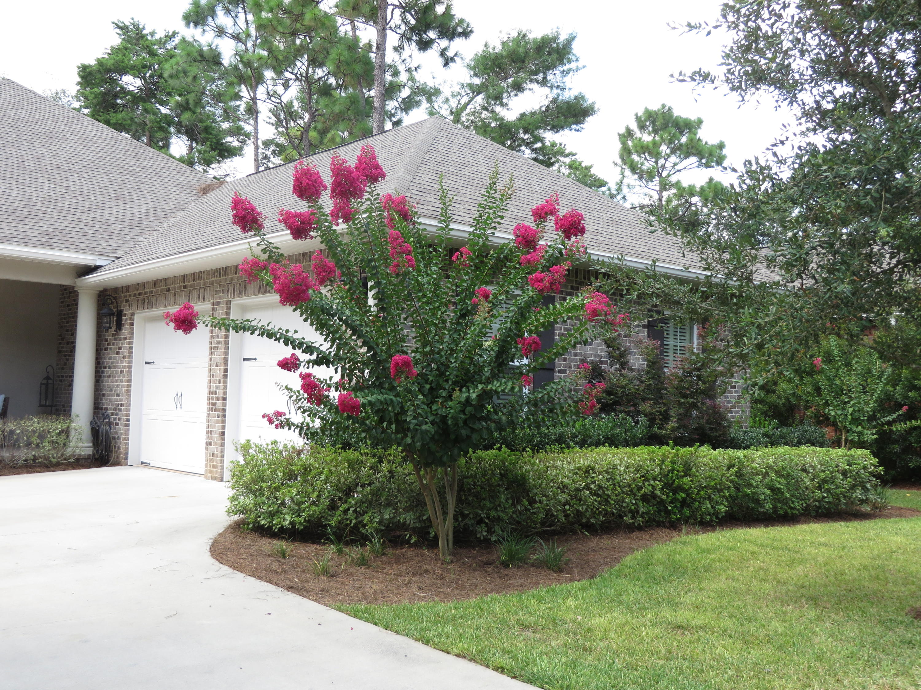 SWIFT CREEK PH 4 - Residential