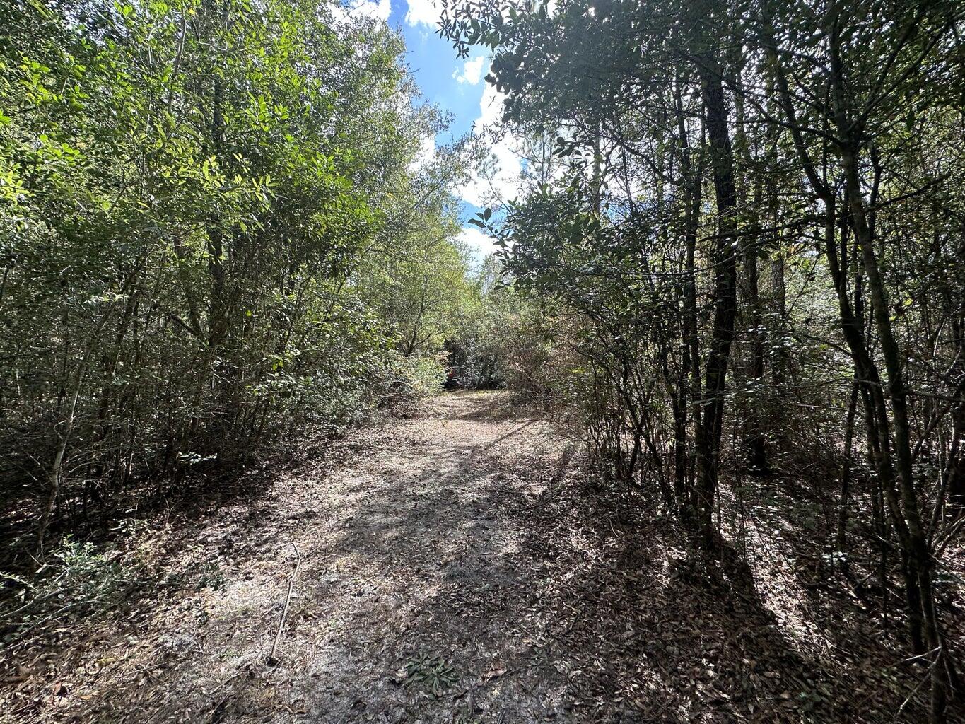 40 AC Lacey Lane