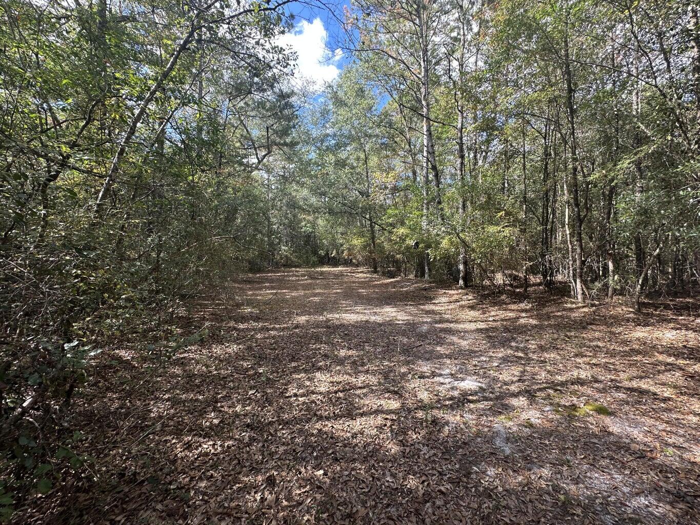 40 AC Lacey Lane