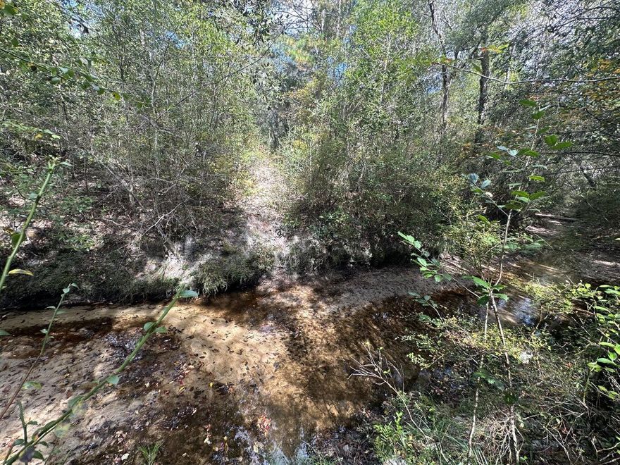 Approximately 40 acres of wooded land ideal for recreation, timber, or hunting. Access is provided by a deeded easement from Lacey Lane. The property is located a short distance from the Shoal River and borders Water Management land, offering a peaceful setting with opportunities for outdoor activities like kayaking, fishing, and wildlife observation.Located southwest of Crestview, the surrounding area is experiencing steady growth, including nearby construction of Phase 3 of Fox Valley and infrastructure improvements such as the new I-10 bypass at PJ Adams. The site is within convenient reach of local schools, medical facilities, Publix, and the upcoming Crestview Commons.The property lies within Flood Zone AE. There are no permitted structures or utilities.