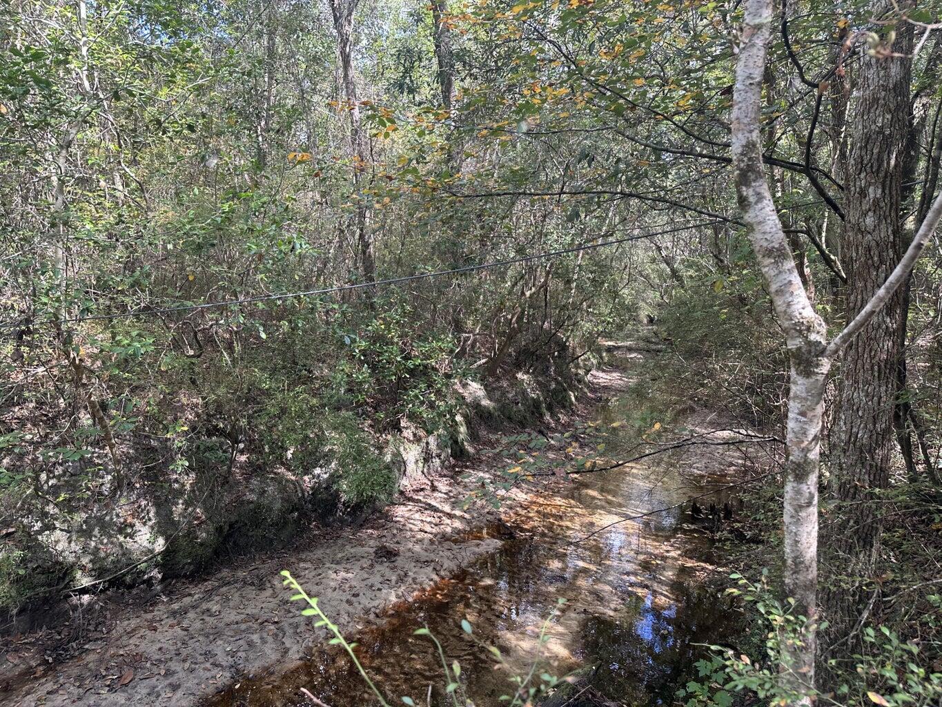 Approximately 40 acres of wooded land ideal for recreation, timber, or hunting. Access is provided by a deeded easement from Lacey Lane. The property is located a short distance from the Shoal River and borders Water Management land, offering a peaceful setting with opportunities for outdoor activities like kayaking, fishing, and wildlife observation.Located southwest of Crestview, the surrounding area is experiencing steady growth, including nearby construction of Phase 3 of Fox Valley and infrastructure improvements such as the new I-10 bypass at PJ Adams. The site is within convenient reach of local schools, medical facilities, Publix, and the upcoming Crestview Commons.The property lies within Flood Zone AE. There are no permitted structures or utilities.