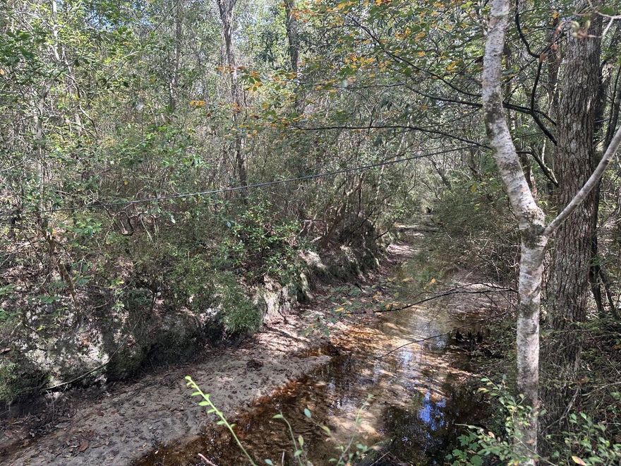 Approximately 40 acres of wooded land ideal for recreation, timber, or hunting. Access is provided by a deeded easement from Lacey Lane. The property is located a short distance from the Shoal River and borders Water Management land, offering a peaceful setting with opportunities for outdoor activities like kayaking, fishing, and wildlife observation.Located southwest of Crestview, the surrounding area is experiencing steady growth, including nearby construction of Phase 3 of Fox Valley and infrastructure improvements such as the new I-10 bypass at PJ Adams. The site is within convenient reach of local schools, medical facilities, Publix, and the upcoming Crestview Commons.The property lies within Flood Zone AE. There are no permitted structures or utilities.
