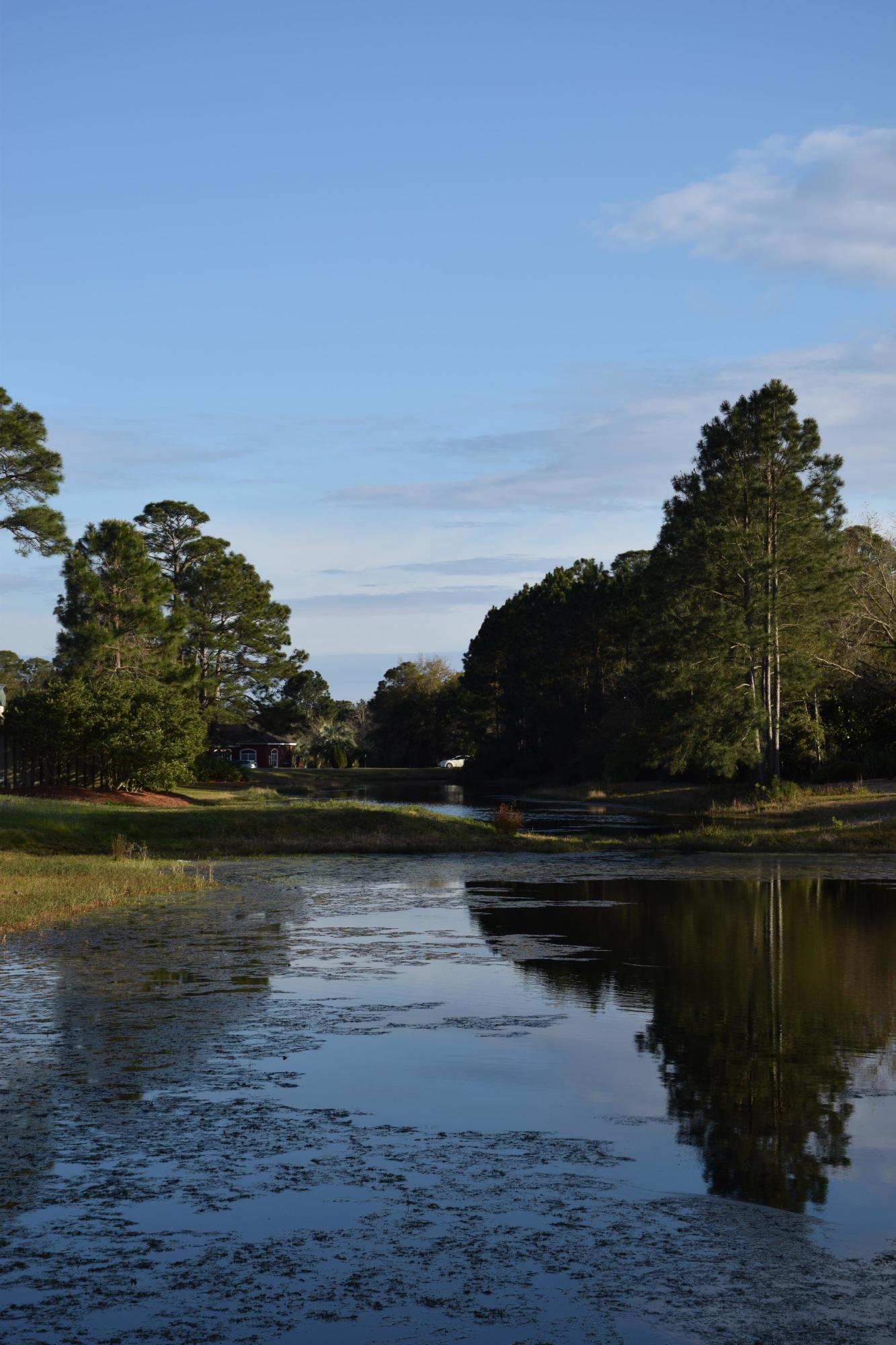 ST ANDREWS SOUTH BLUEWATER BAY 1 - Residential
