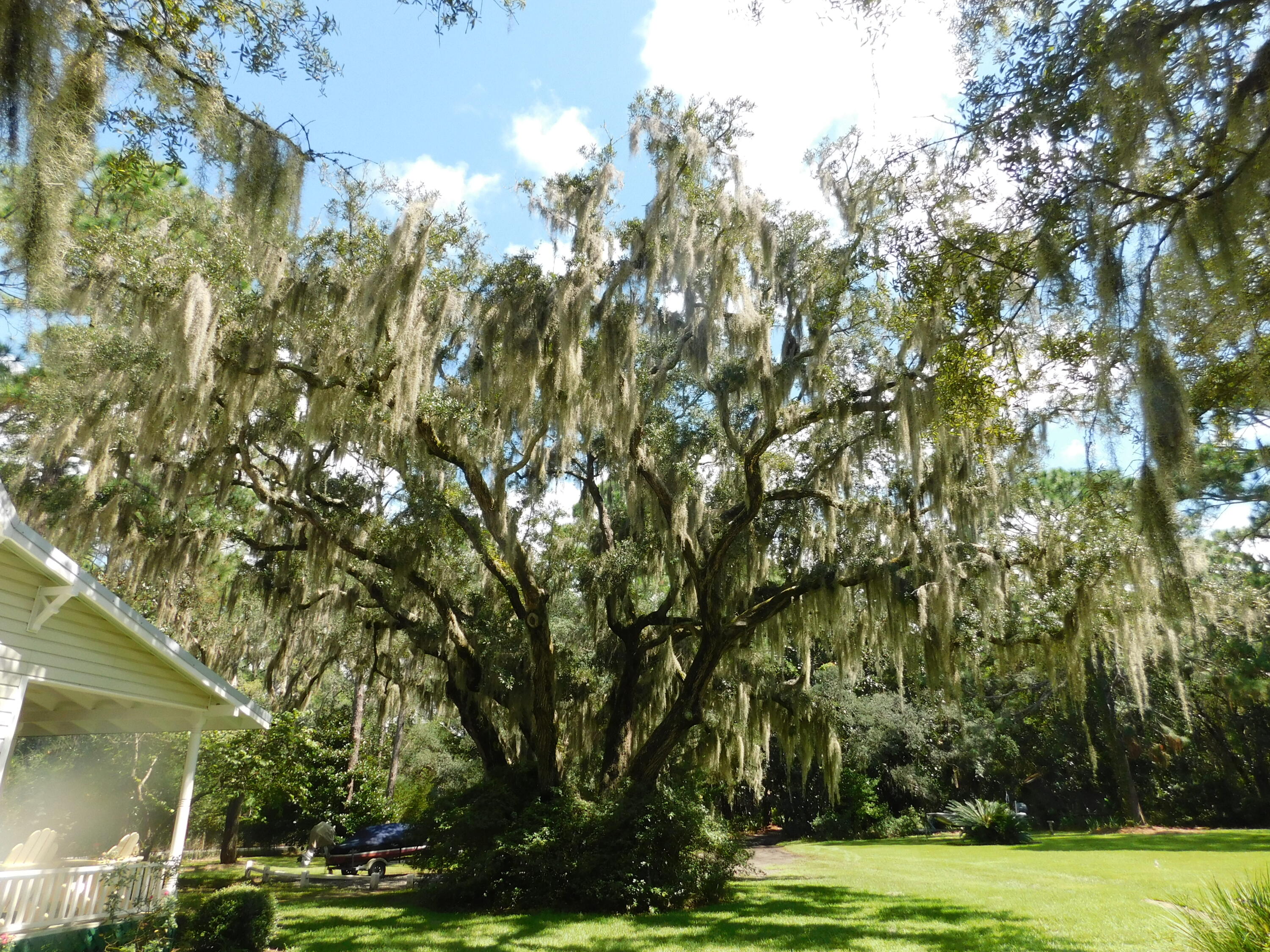HEWETT BAYOU - Residential