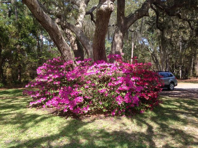 HEWETT BAYOU - Residential