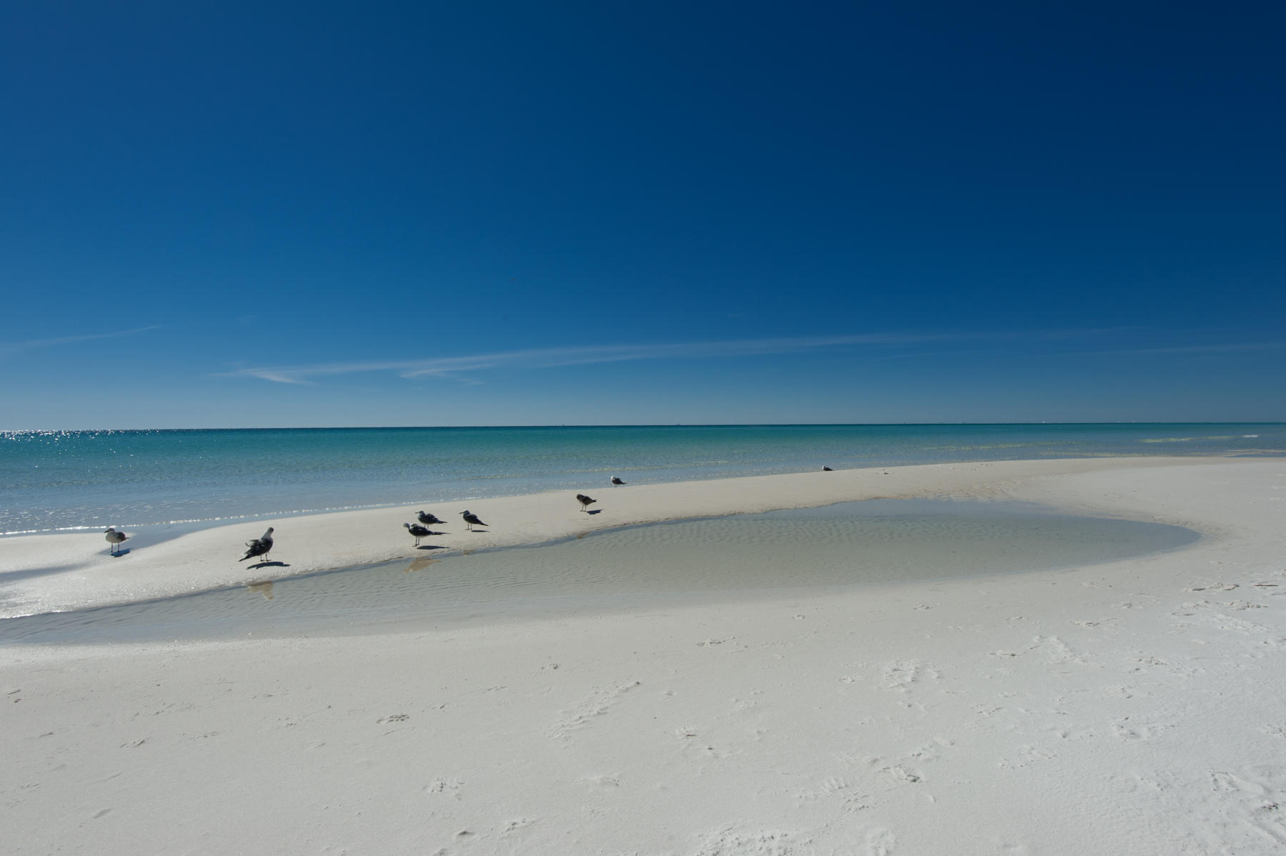 PELICAN BEACH RESORT CONDO - Residential